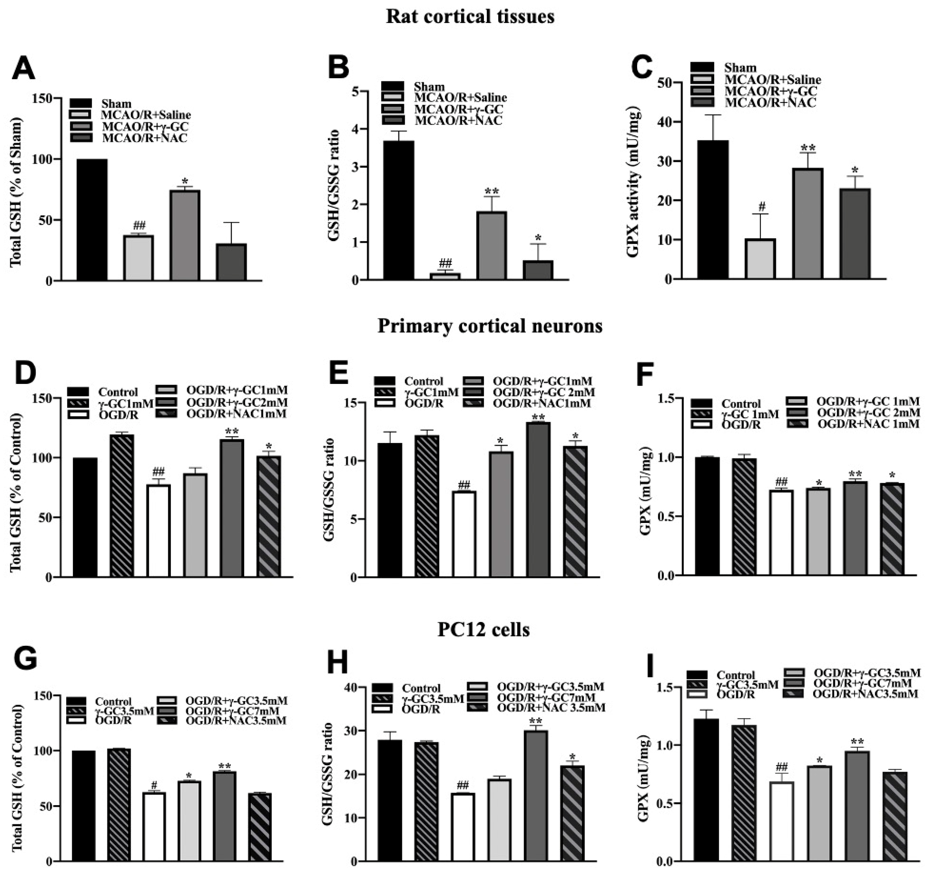 Antioxidants 11 01653 g003
