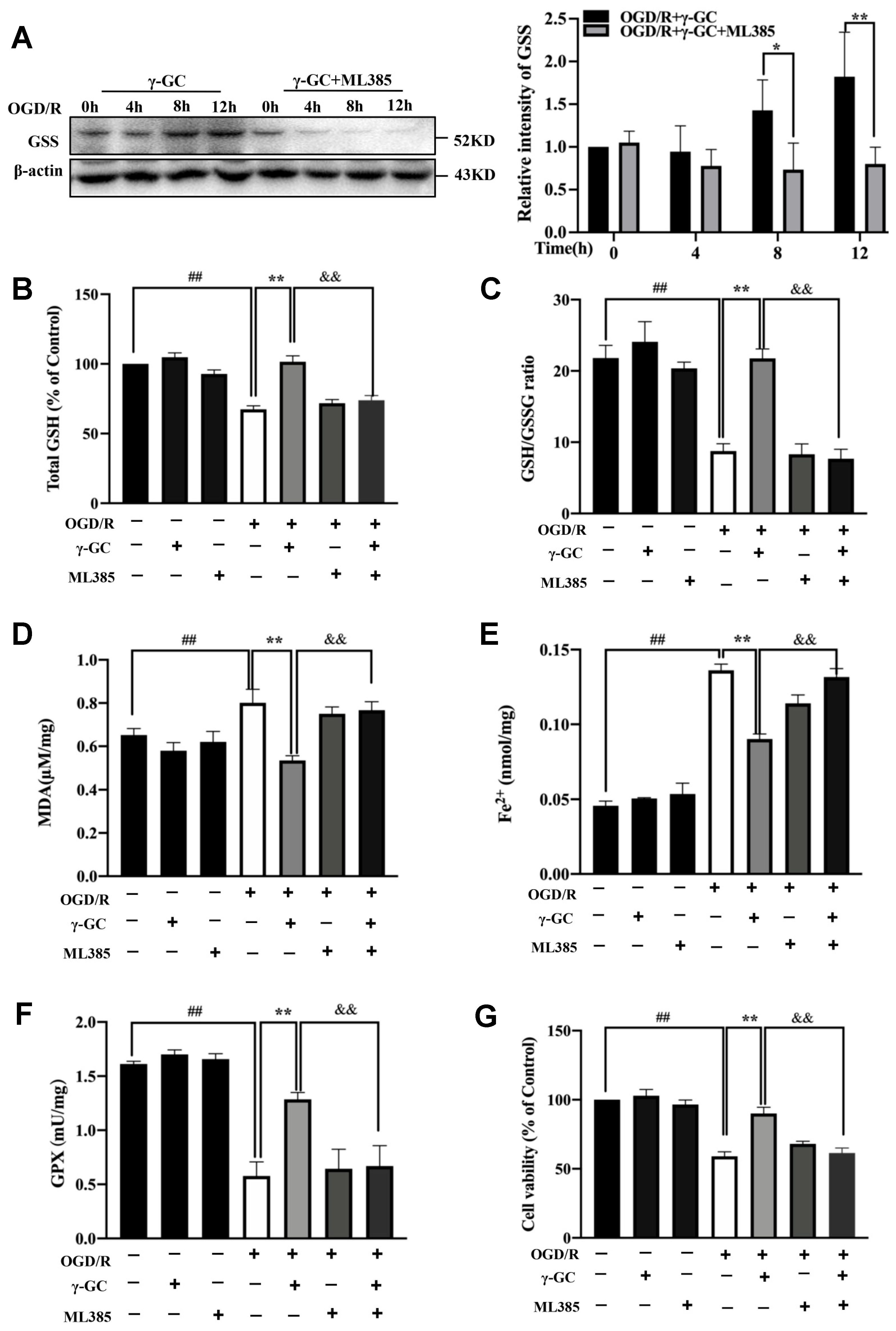 Antioxidants 11 01653 g006