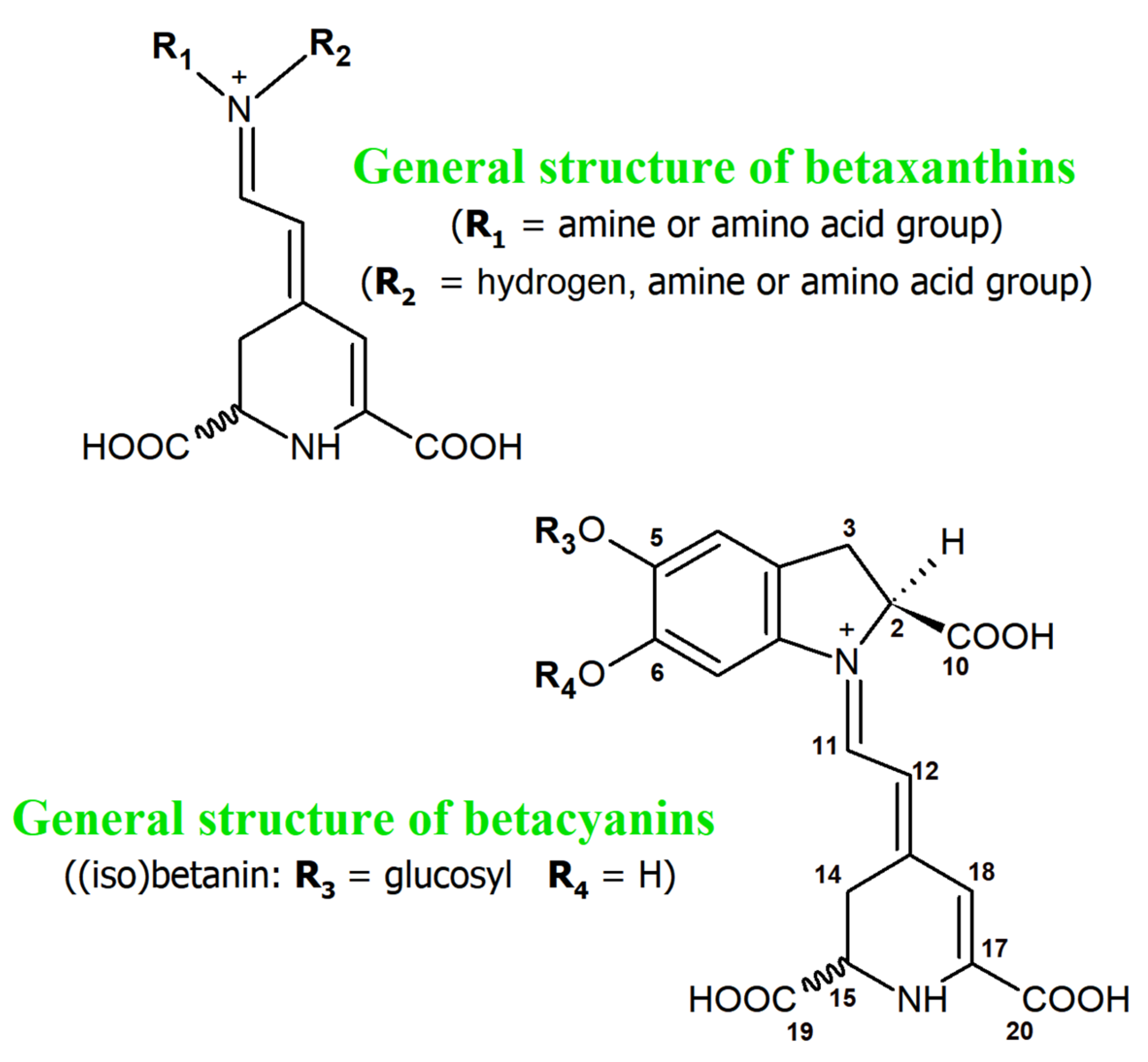 Antioxidants 11 01654 g001