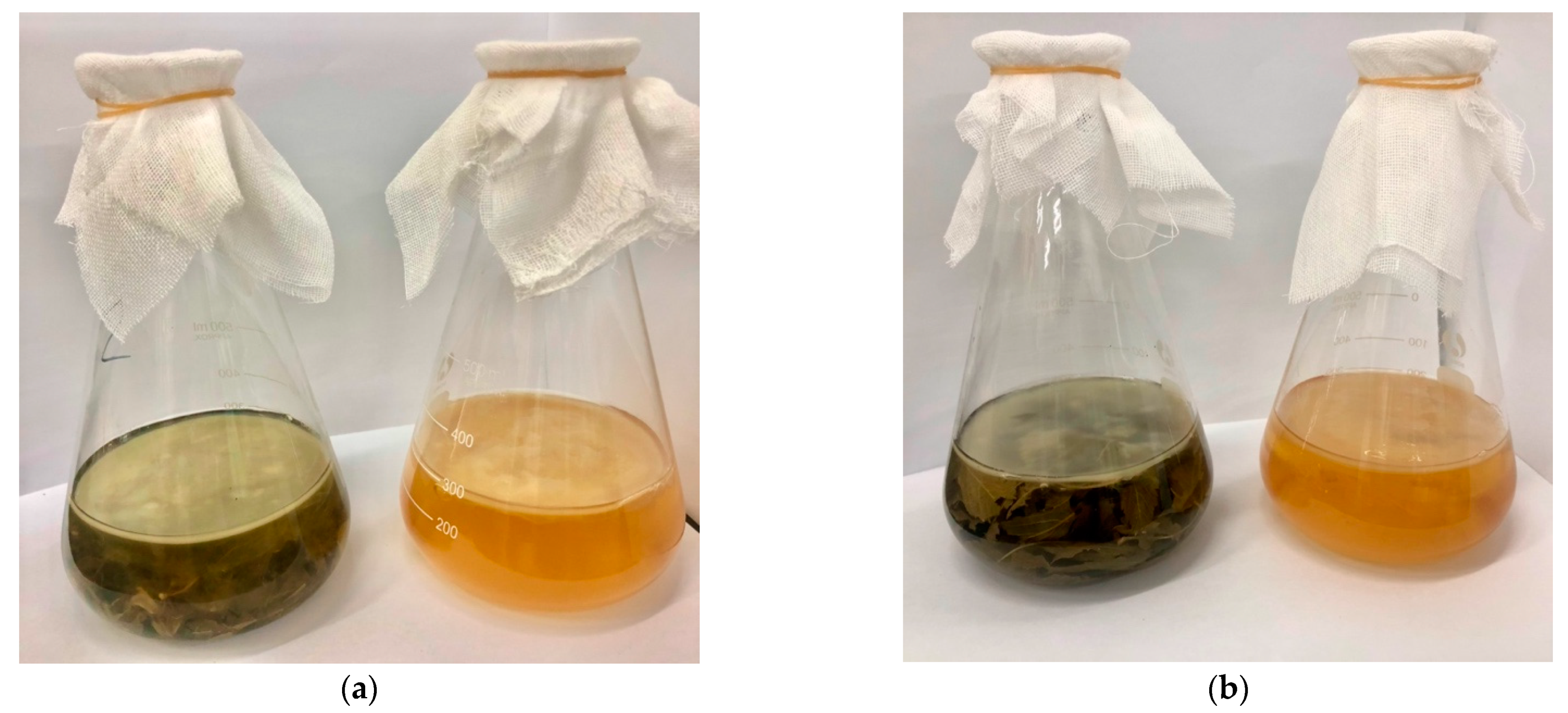 Antioxidants 11 01655 g001