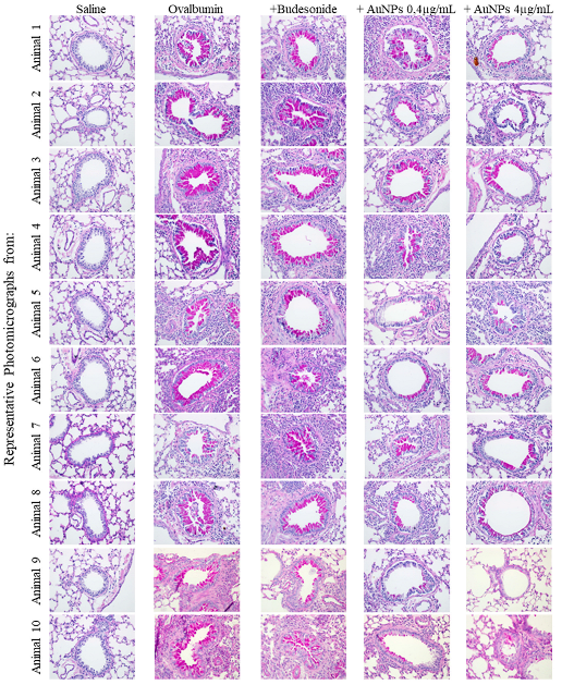 Antioxidants 11 01659 g0a2 Antioxidants 11 01659 g0a2