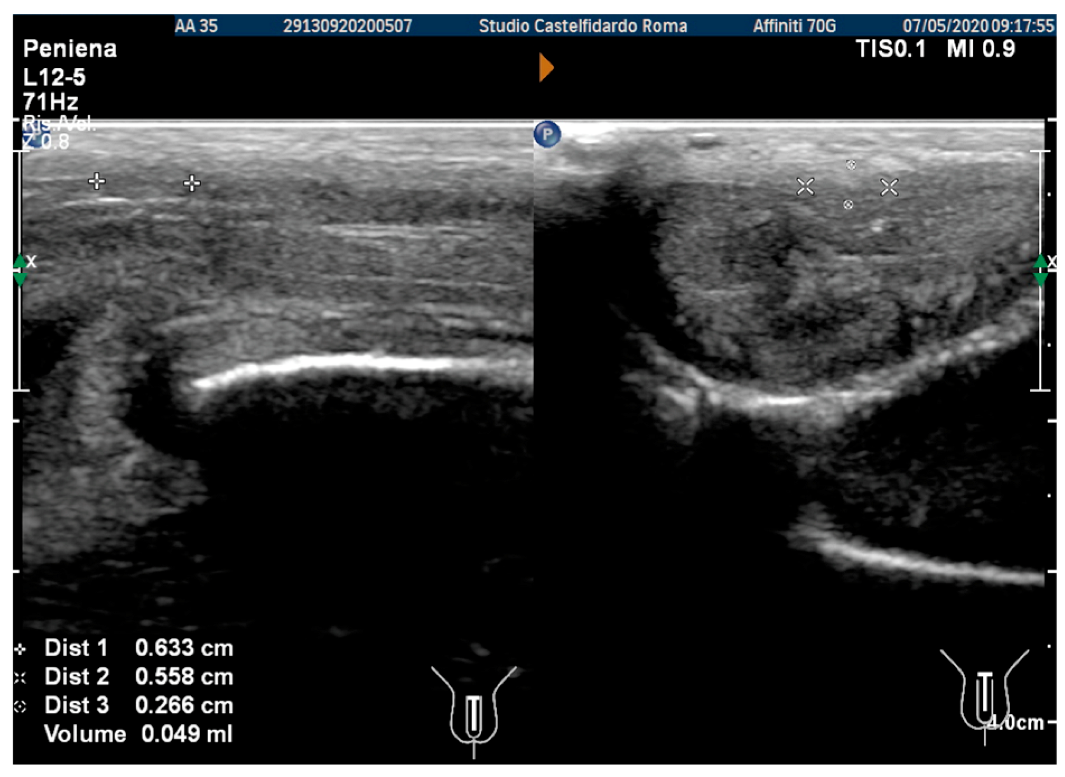 Antioxidants 11 01661 g002