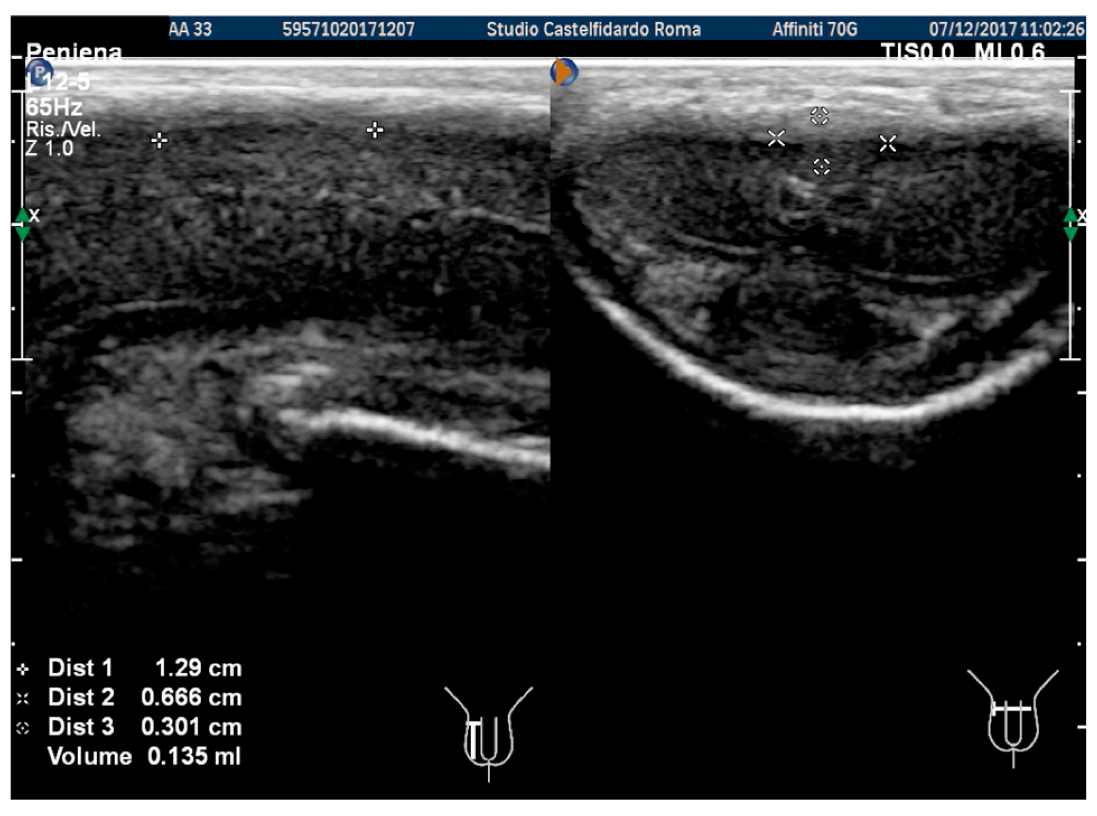 Antioxidants 11 01661 g006