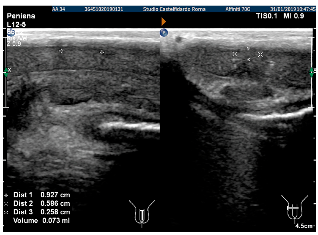 Antioxidants 11 01661 g007