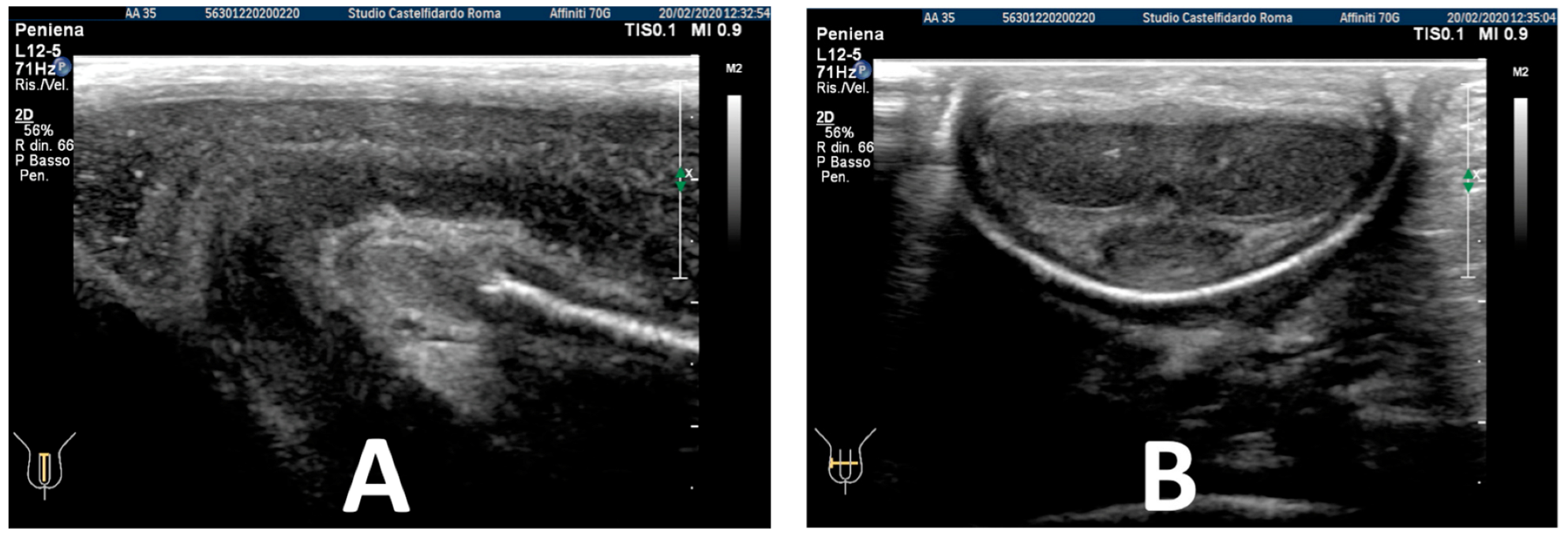 Antioxidants 11 01661 g008