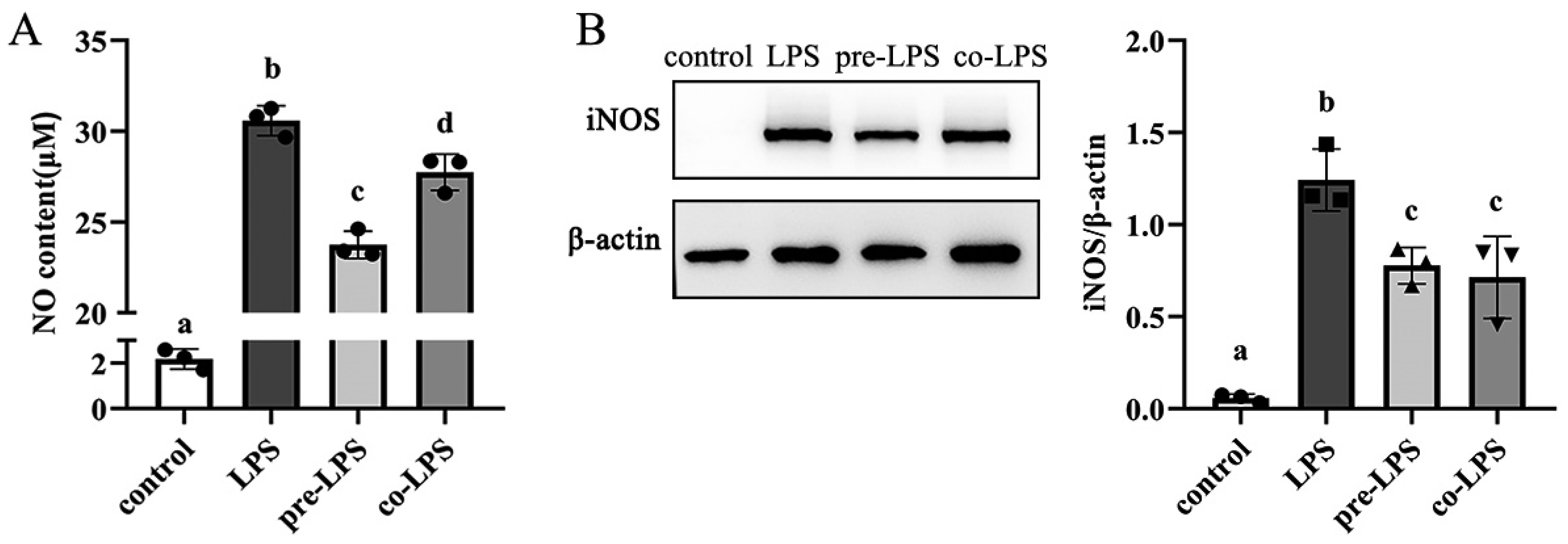 Antioxidants 11 01662 g004