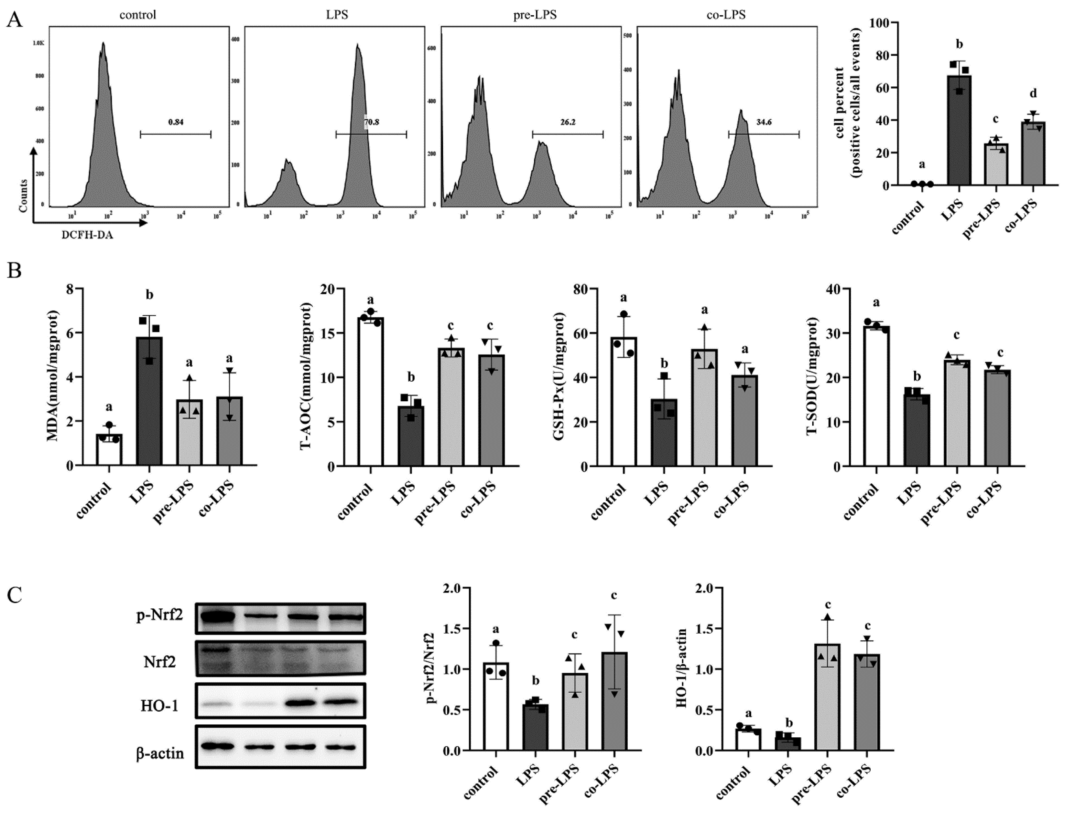 Antioxidants 11 01662 g005