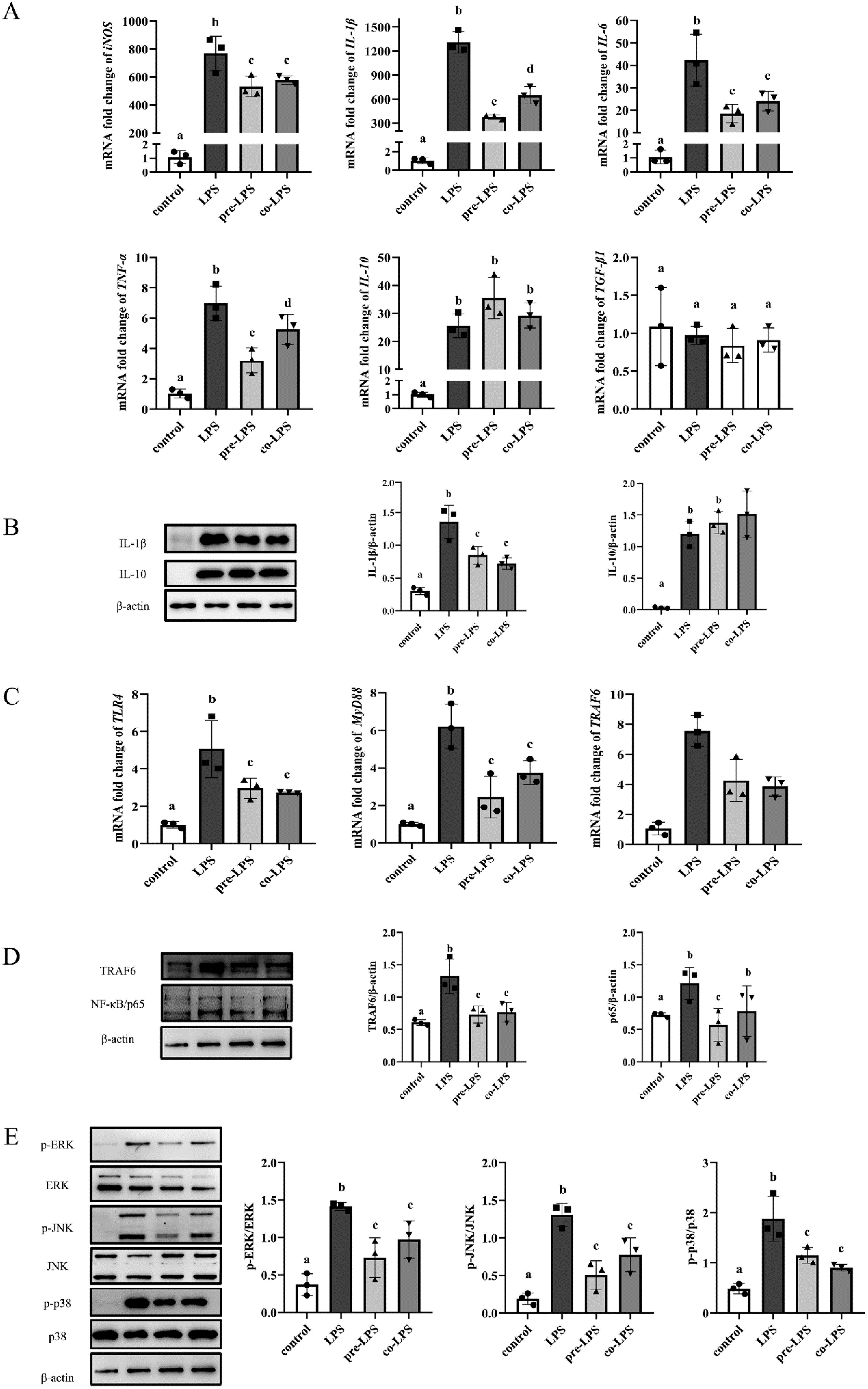 Antioxidants 11 01662 g006