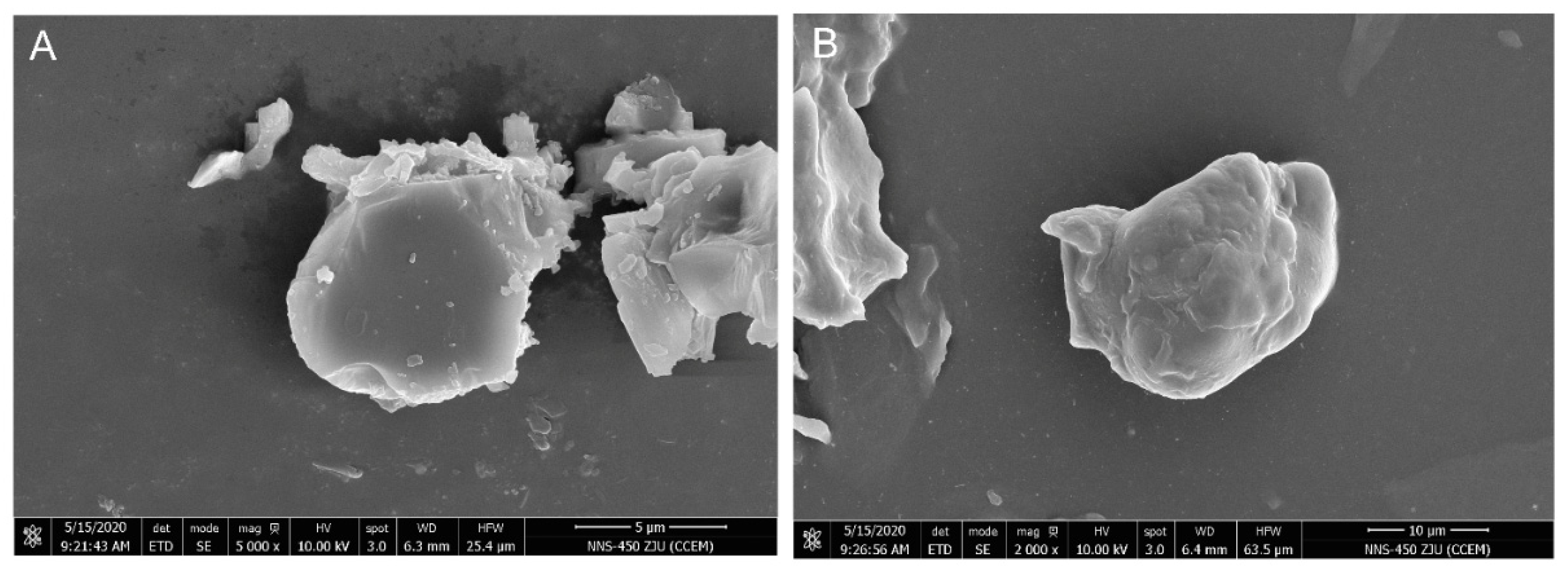 Antioxidants 11 01666 g002