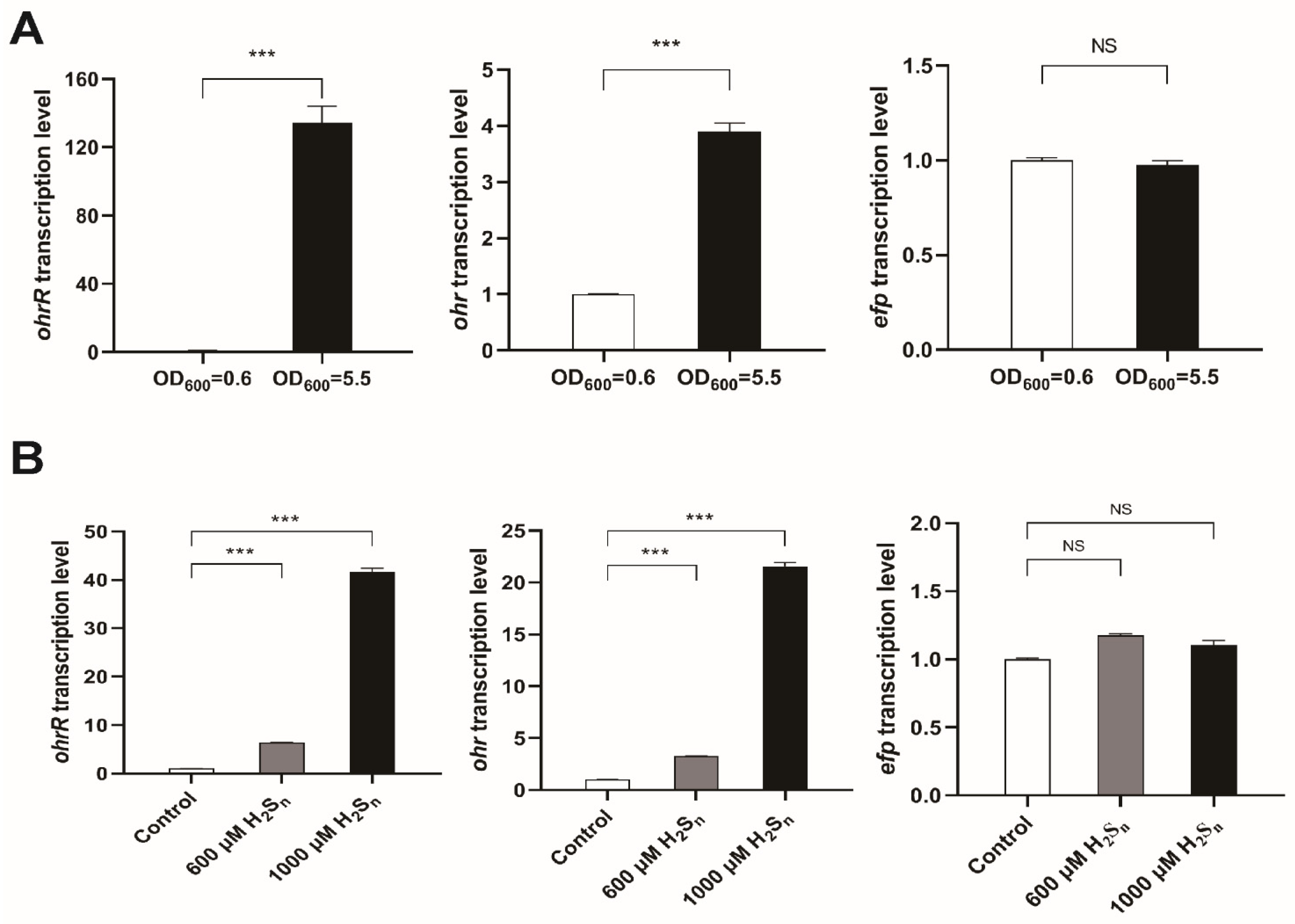 Antioxidants 11 01667 g005