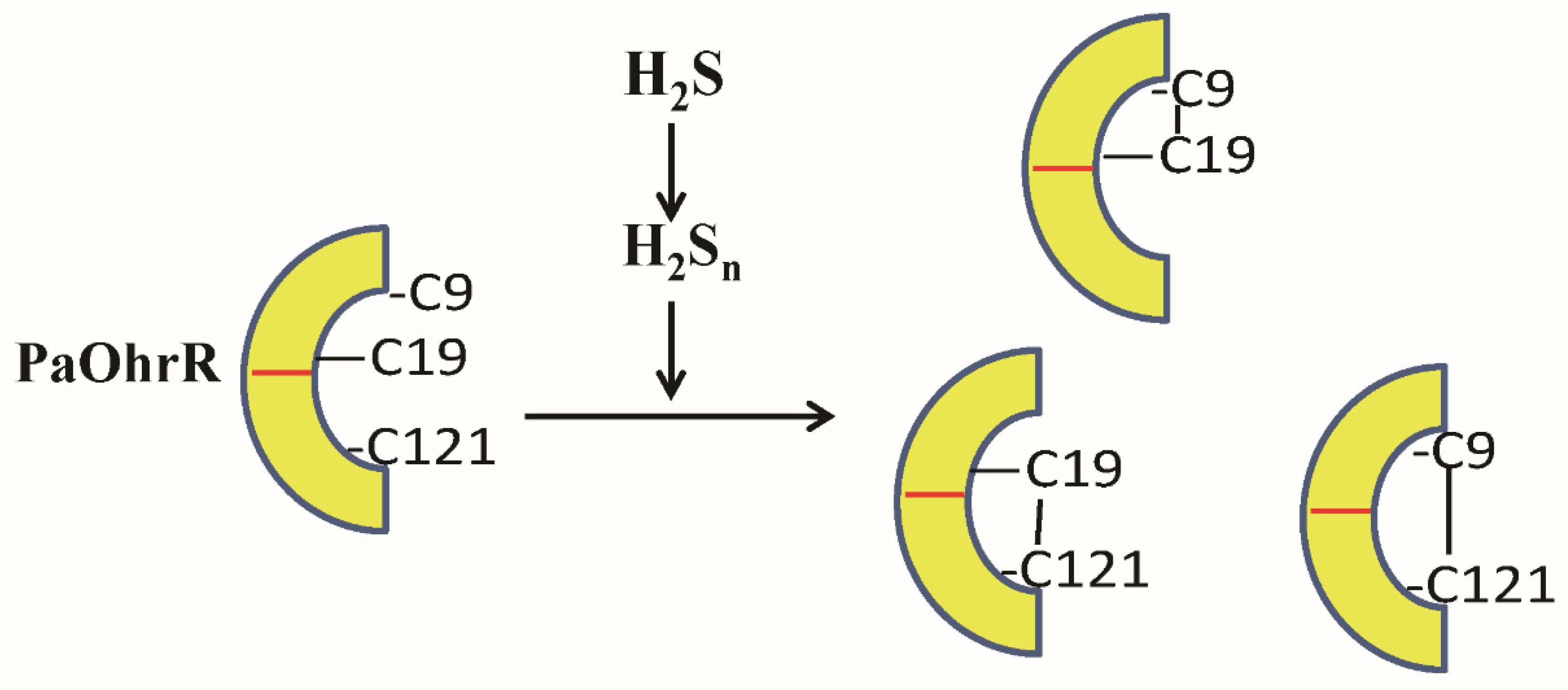 Antioxidants 11 01667 g006