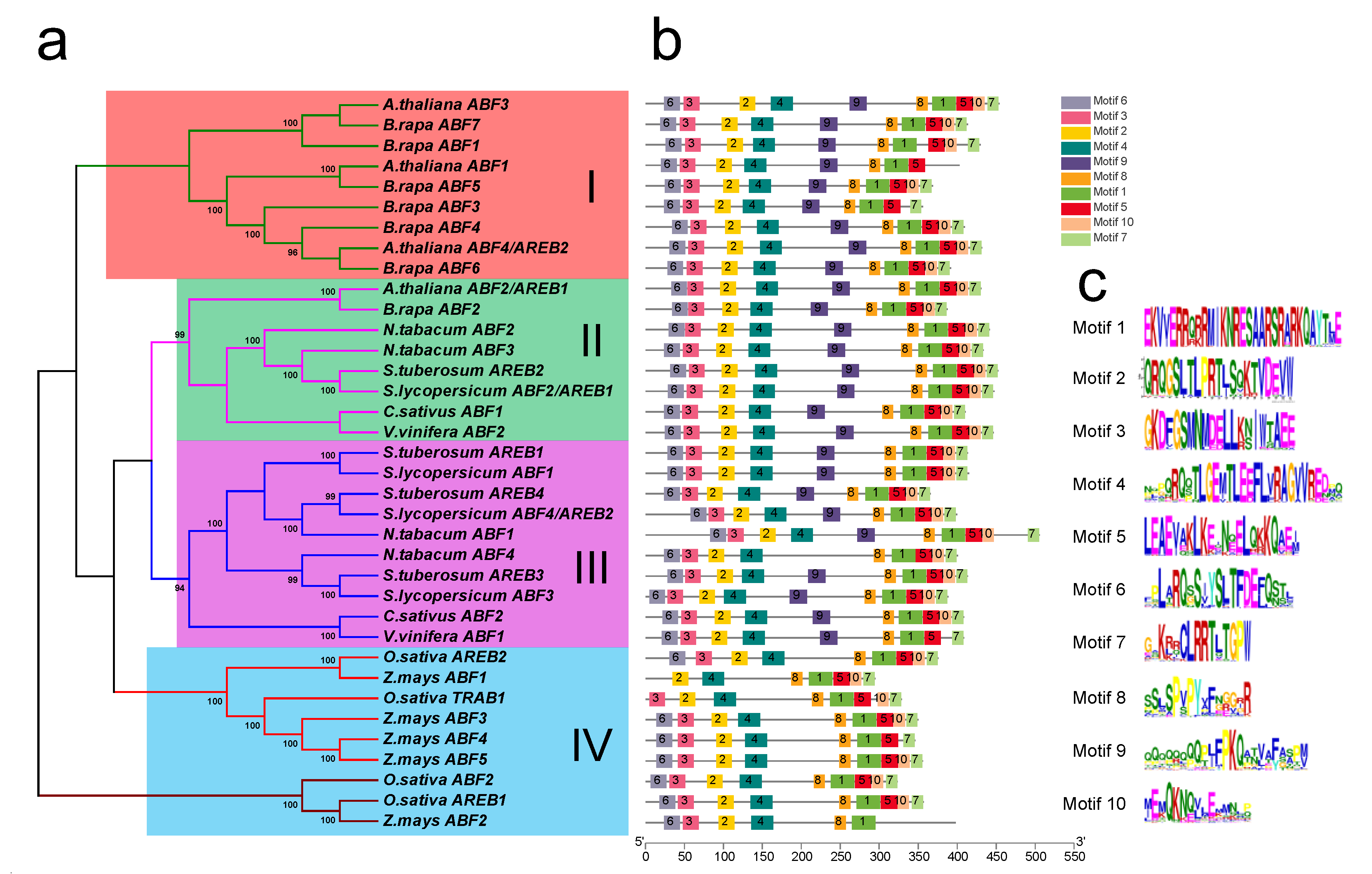Transcription Factor SlAREB1 Is Involved in the Antioxidant