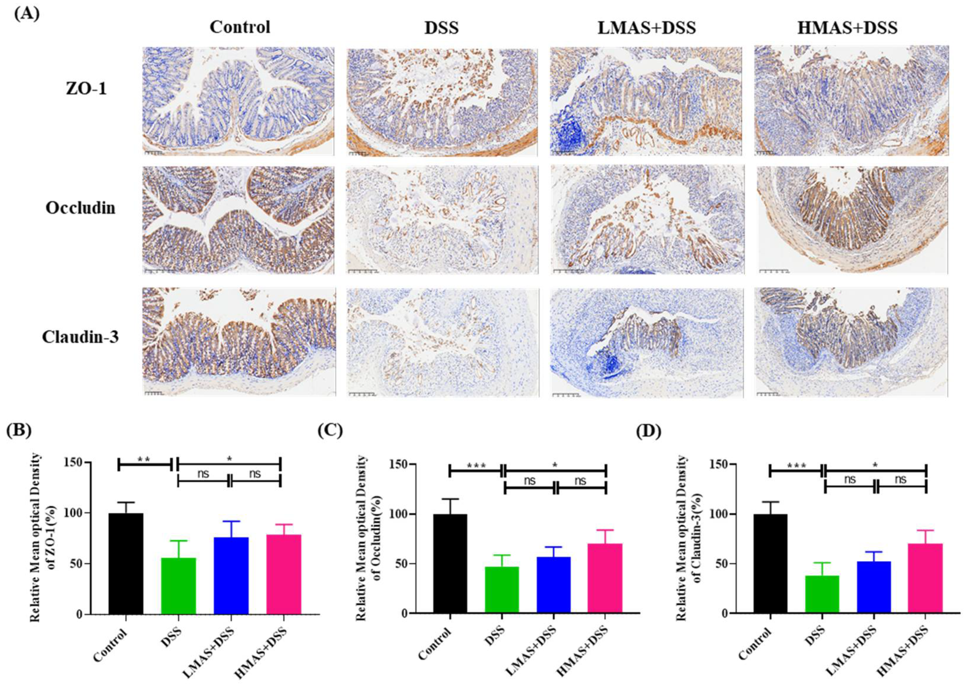 Antioxidants 11 01674 g004