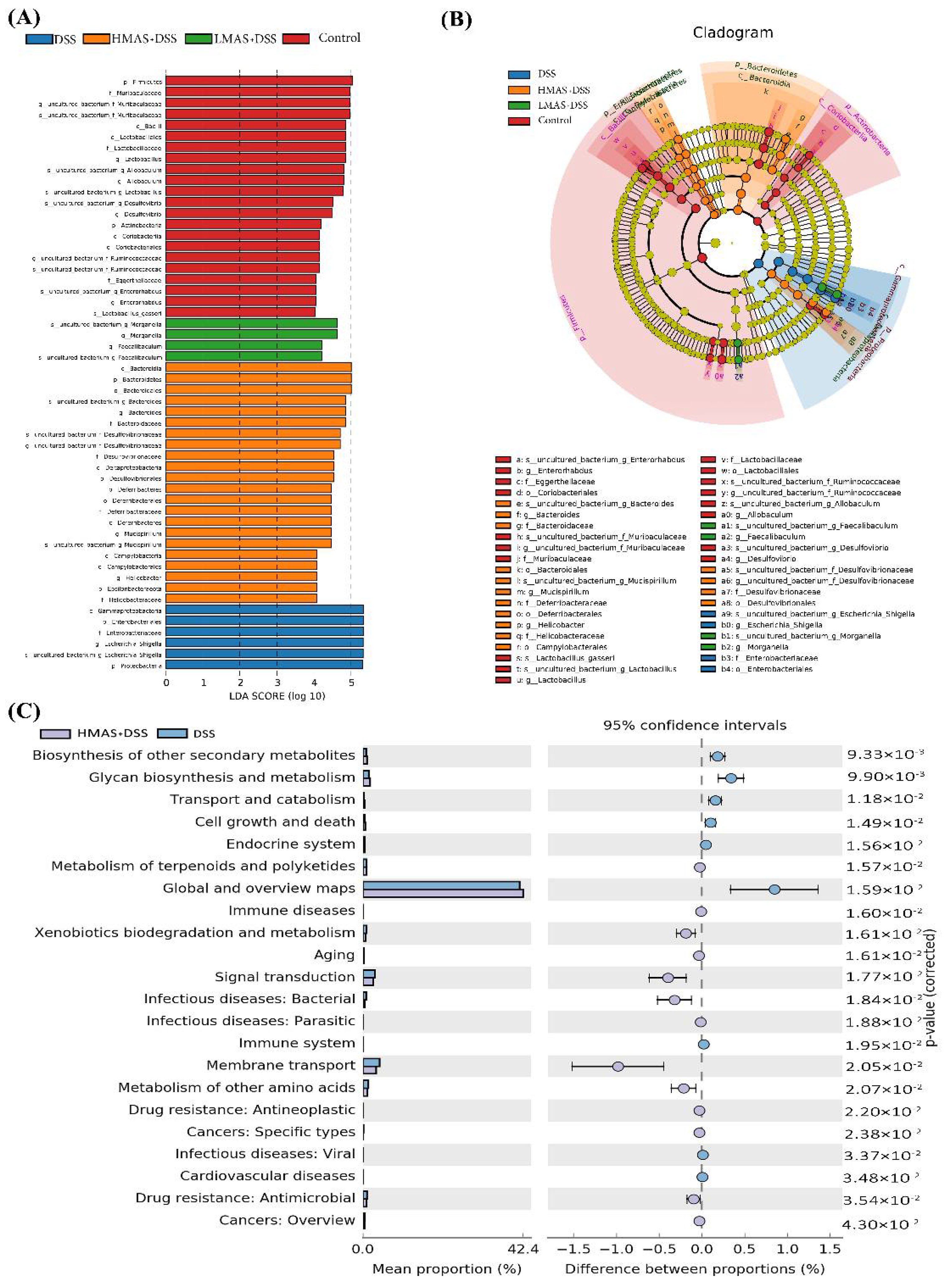 Antioxidants 11 01674 g007