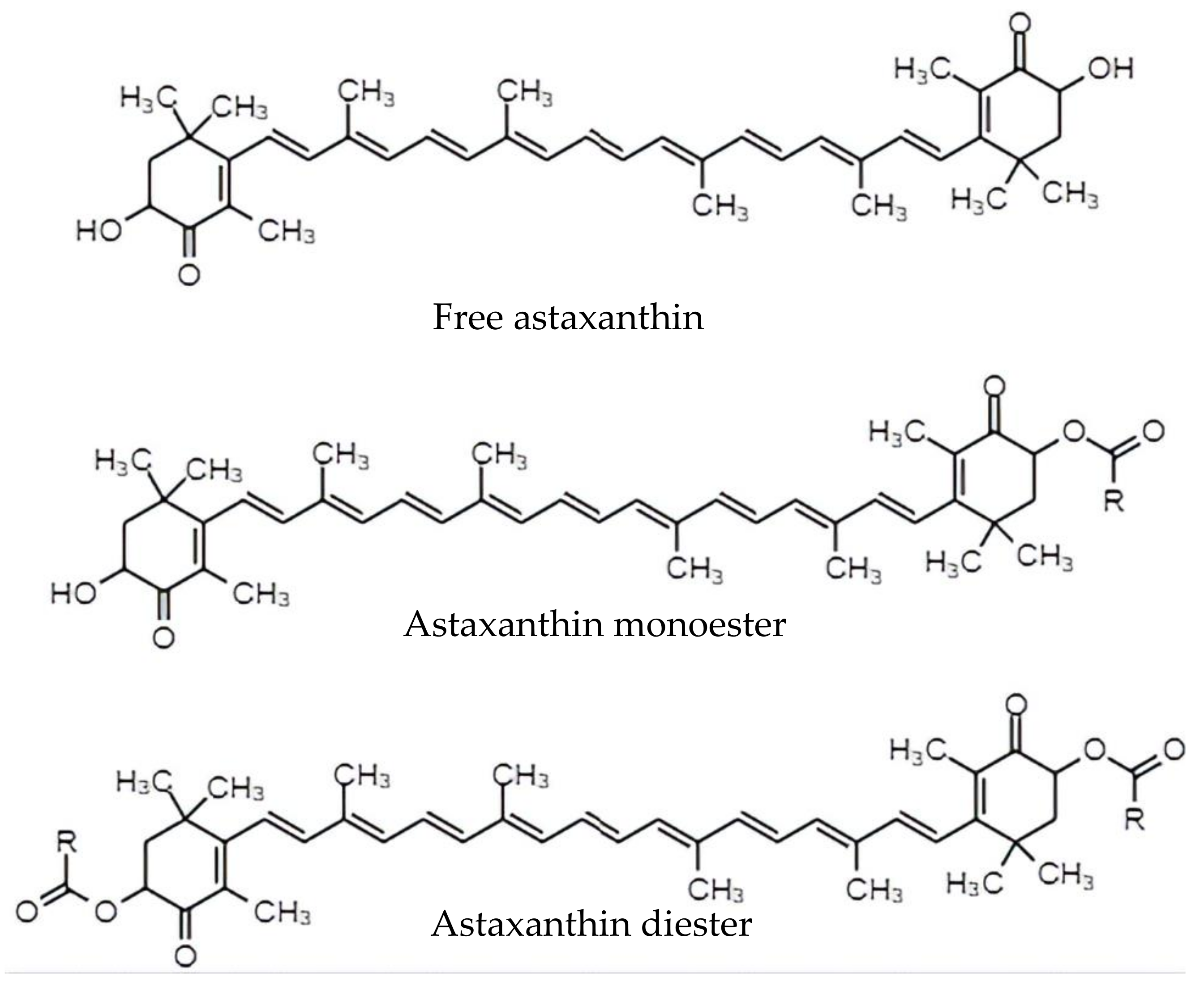 Antioxidants Free FullText Nanocarrier System StateoftheArt in