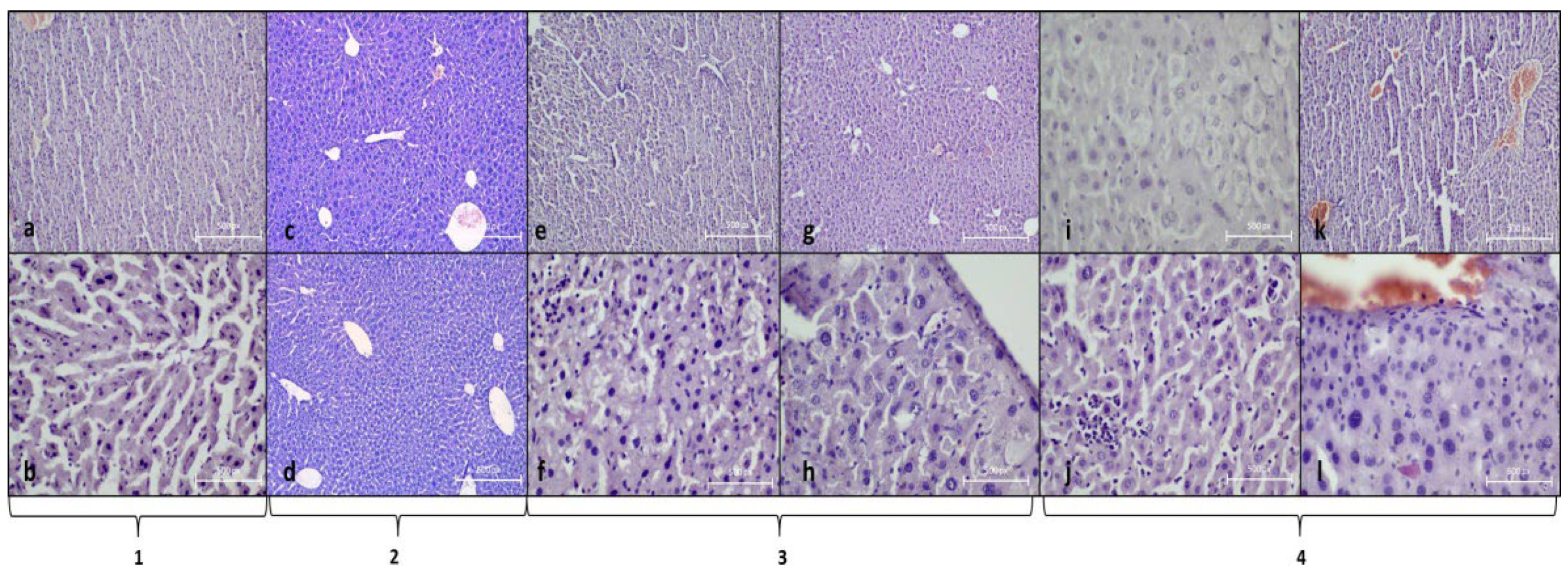 Antioxidants 11 01678 g001 Antioxidants 11 01678 g001