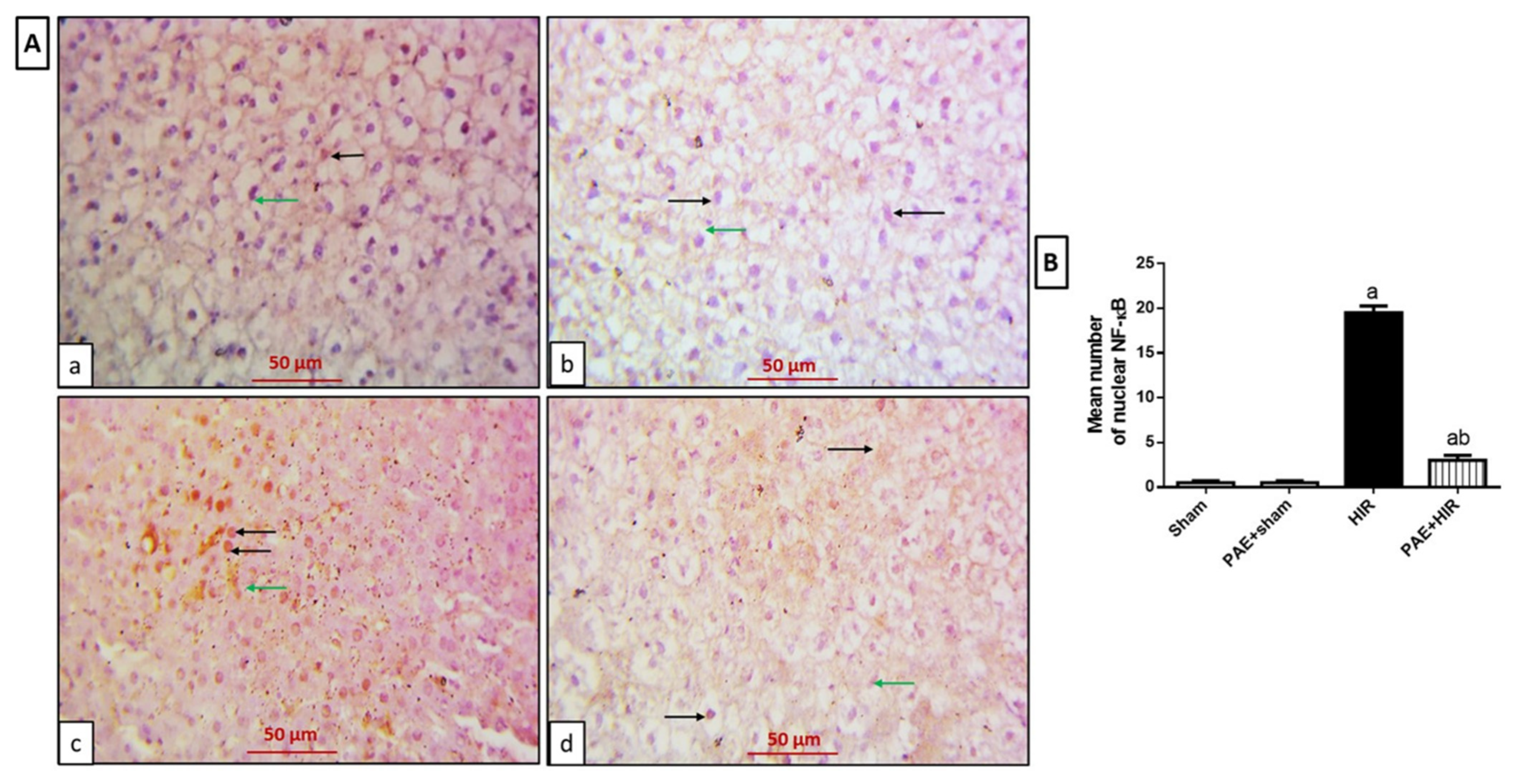 Antioxidants 11 01687 g007