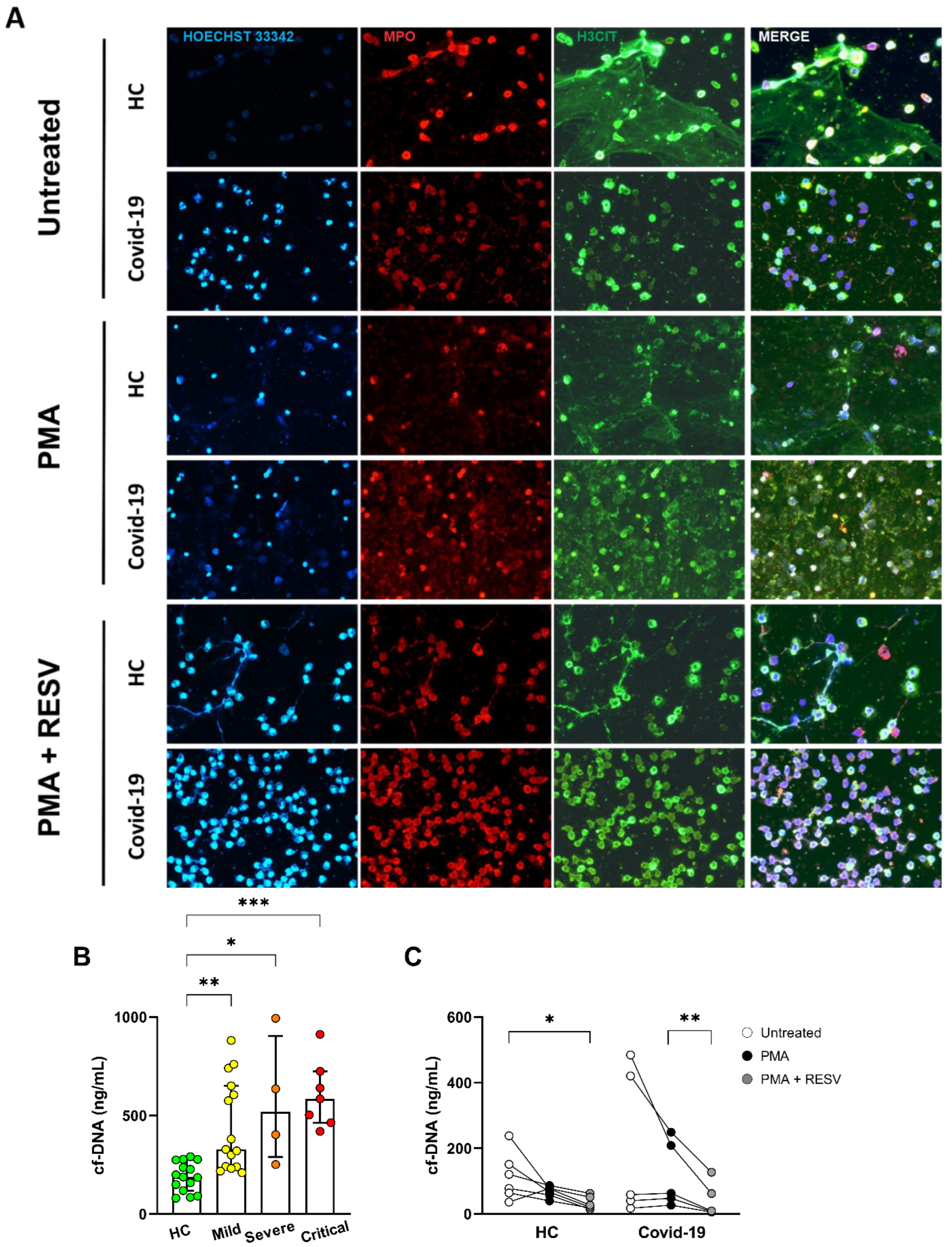 Antioxidants 11 01690 g006