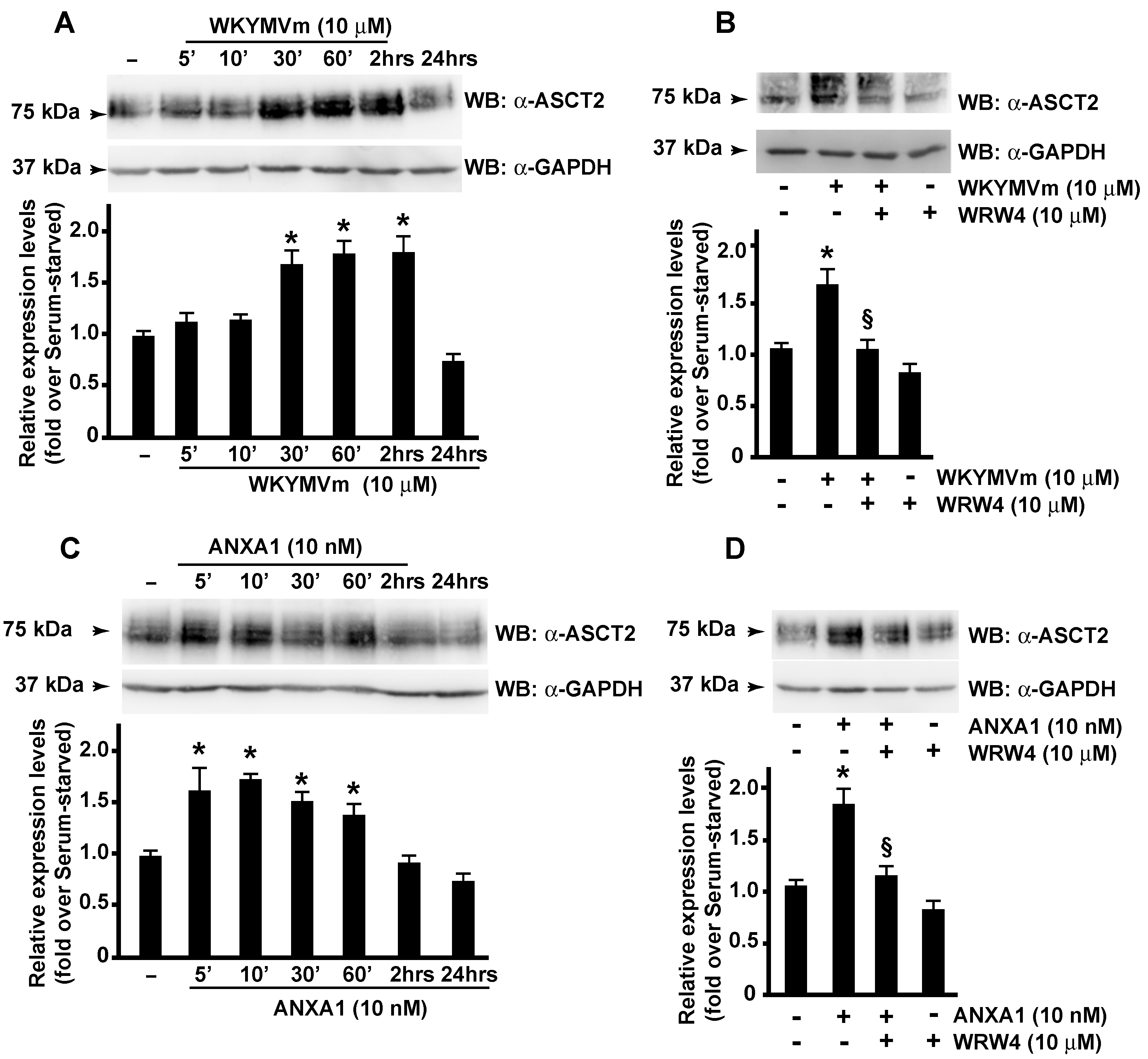 Antioxidants 11 01692 g003