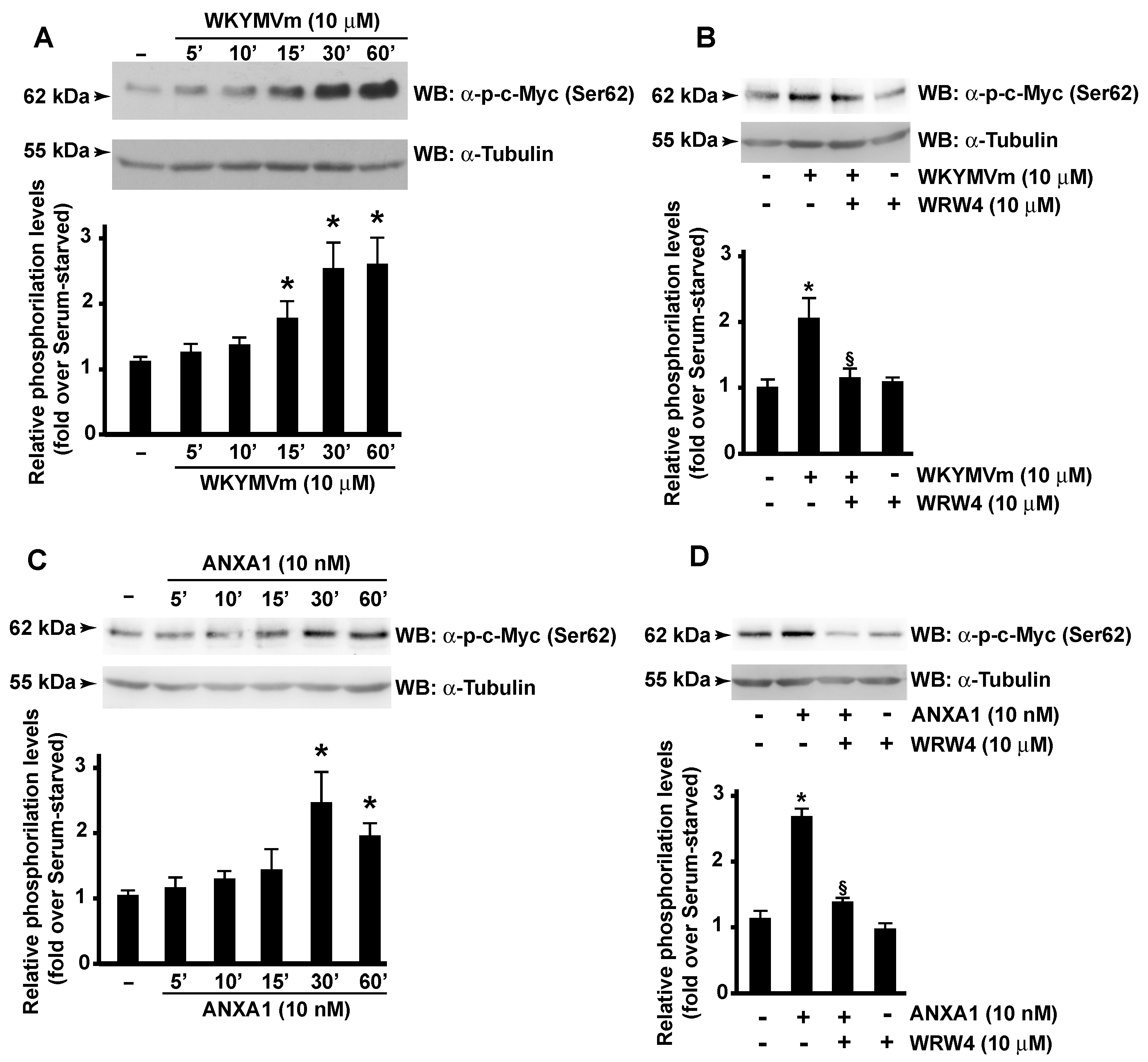 Antioxidants 11 01692 g004