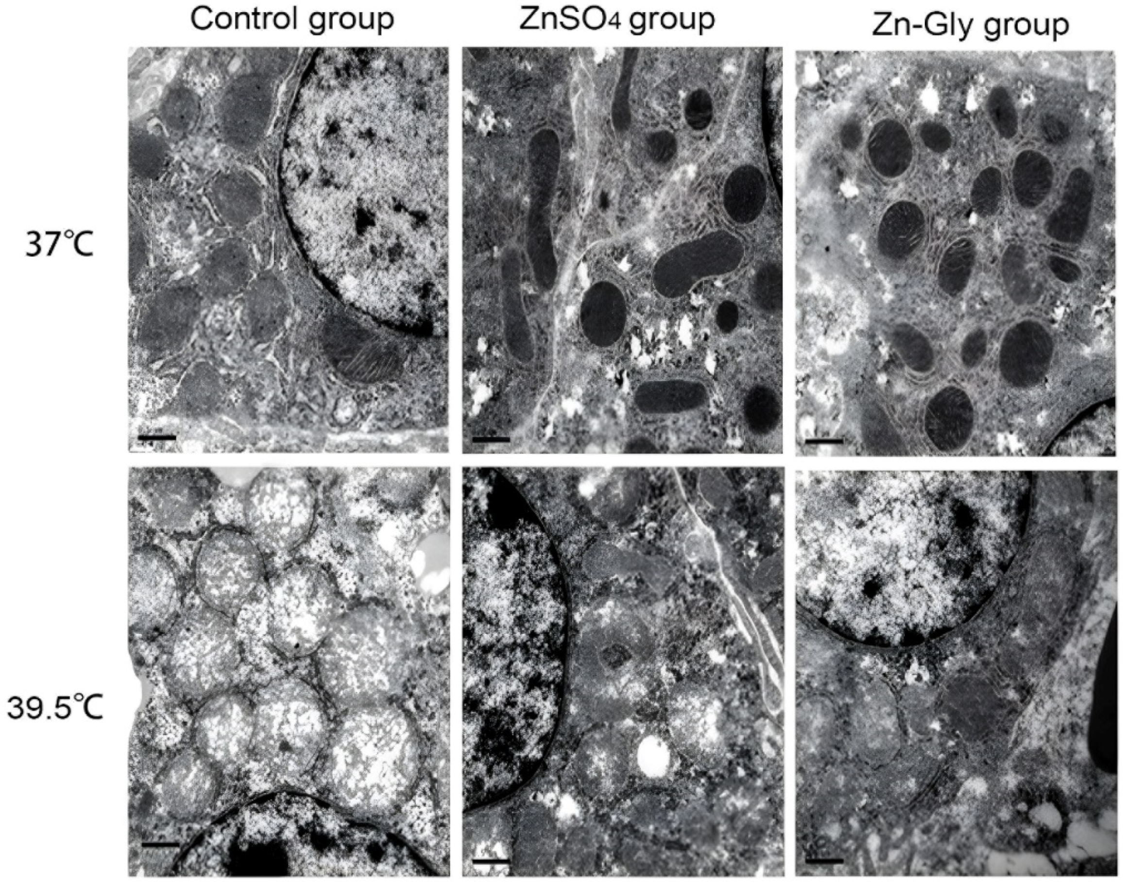 Antioxidants 11 01699 g001