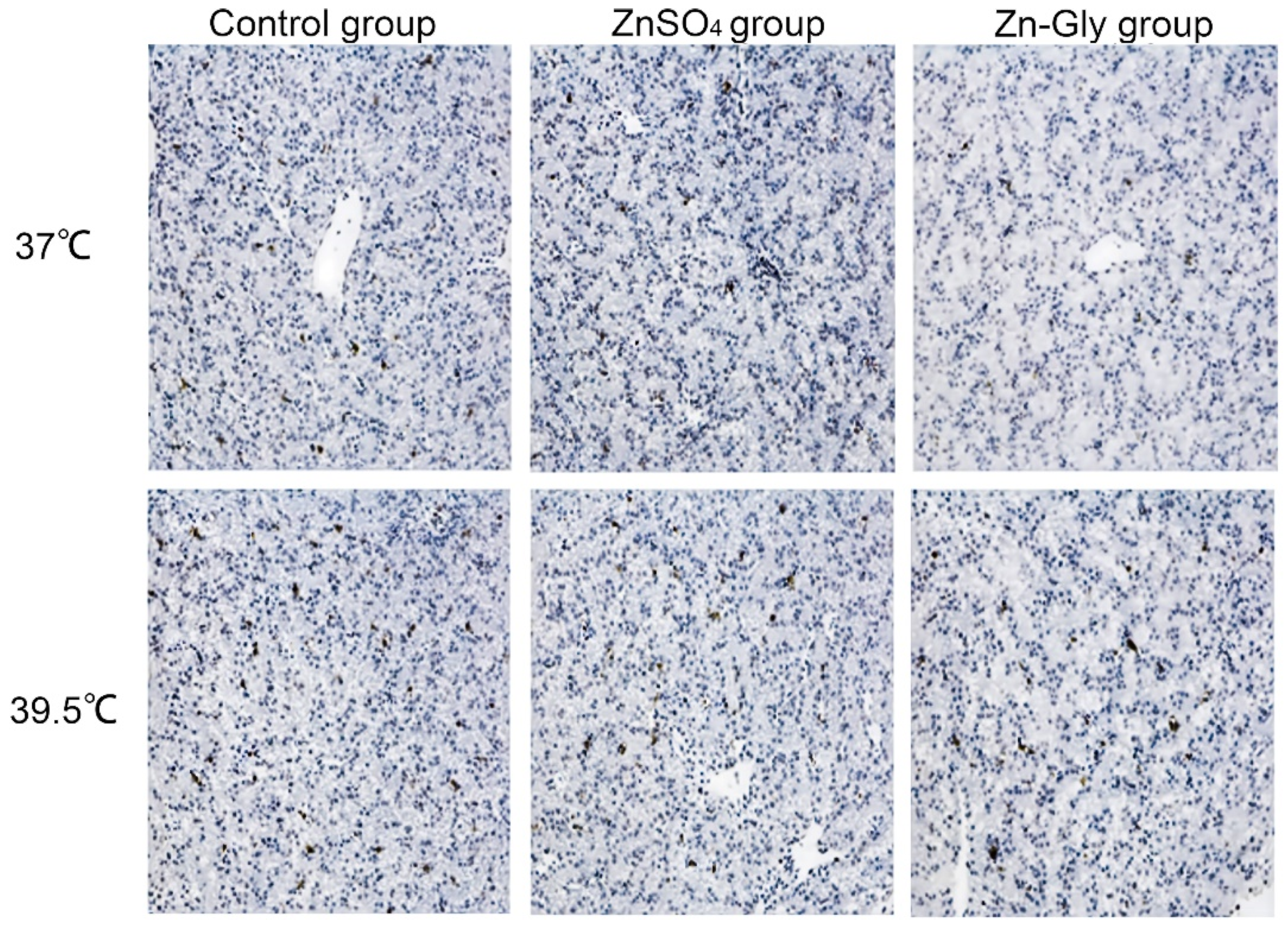 Antioxidants 11 01699 g002
