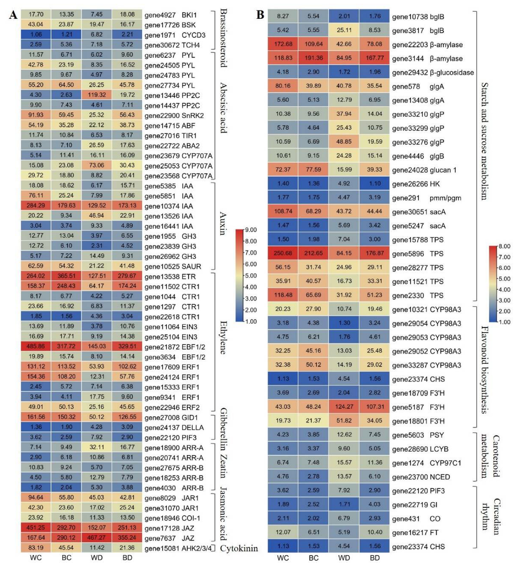 Antioxidants 11 01701 g008 550