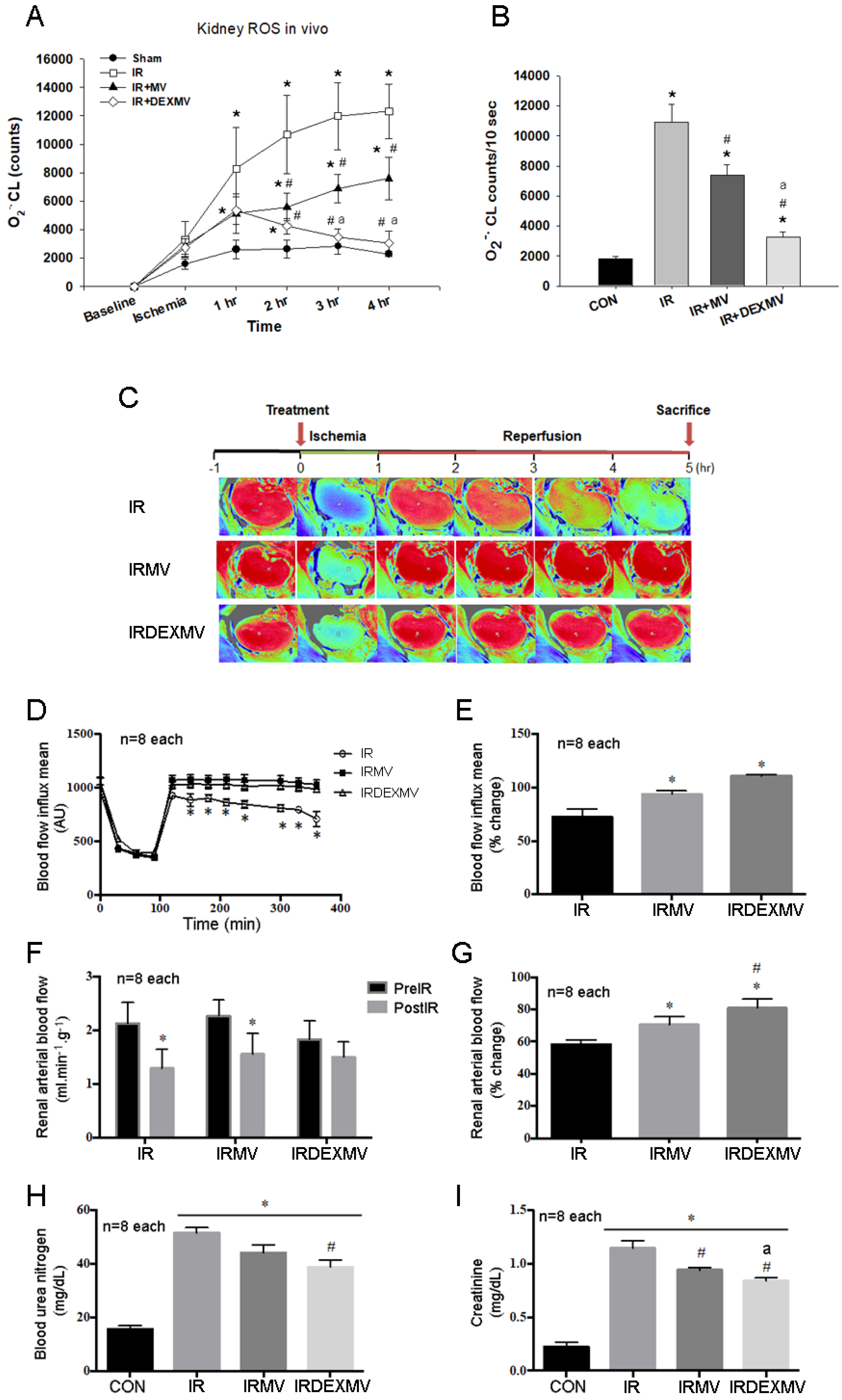 Antioxidants 11 01702 g003