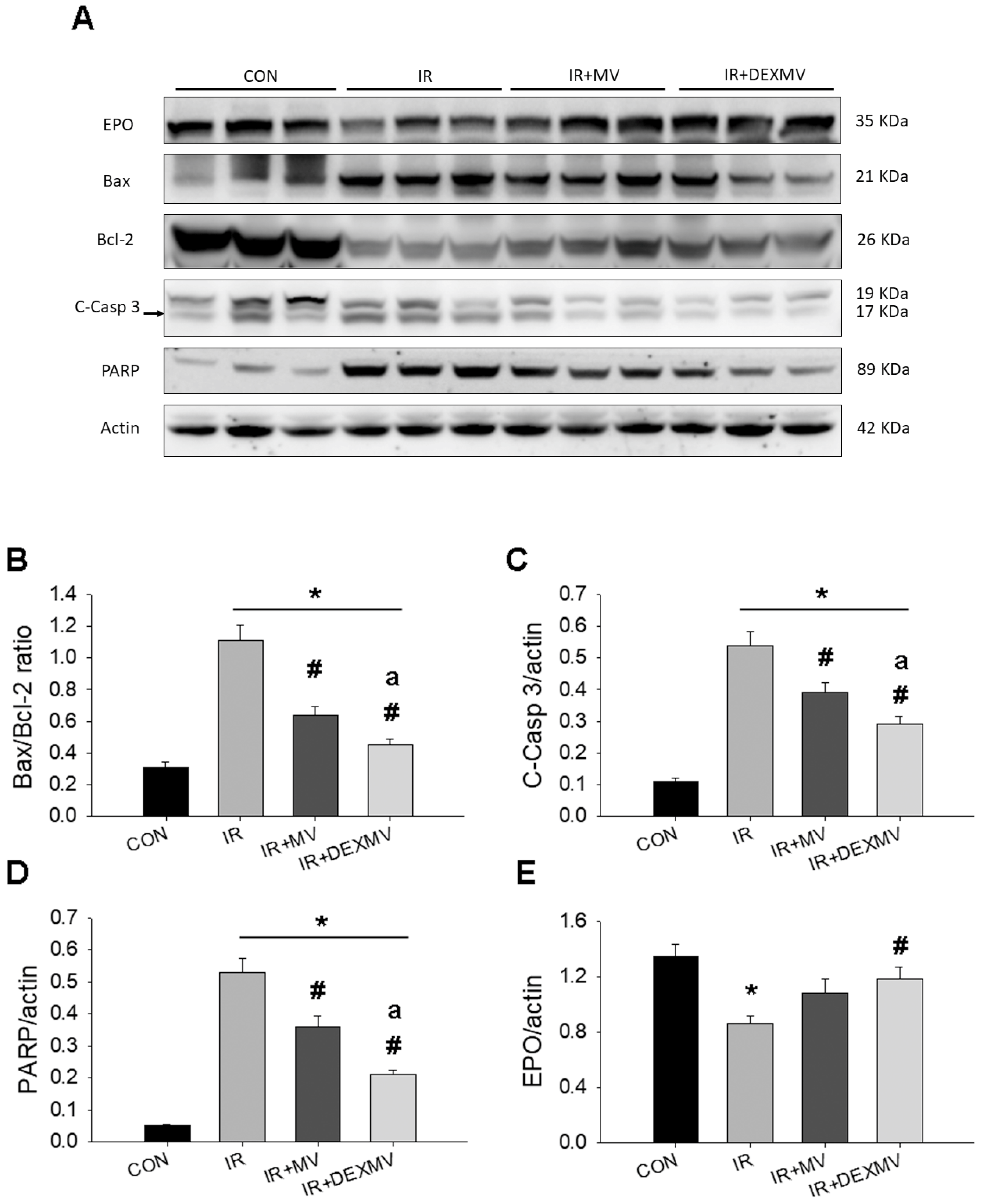 Antioxidants 11 01702 g006