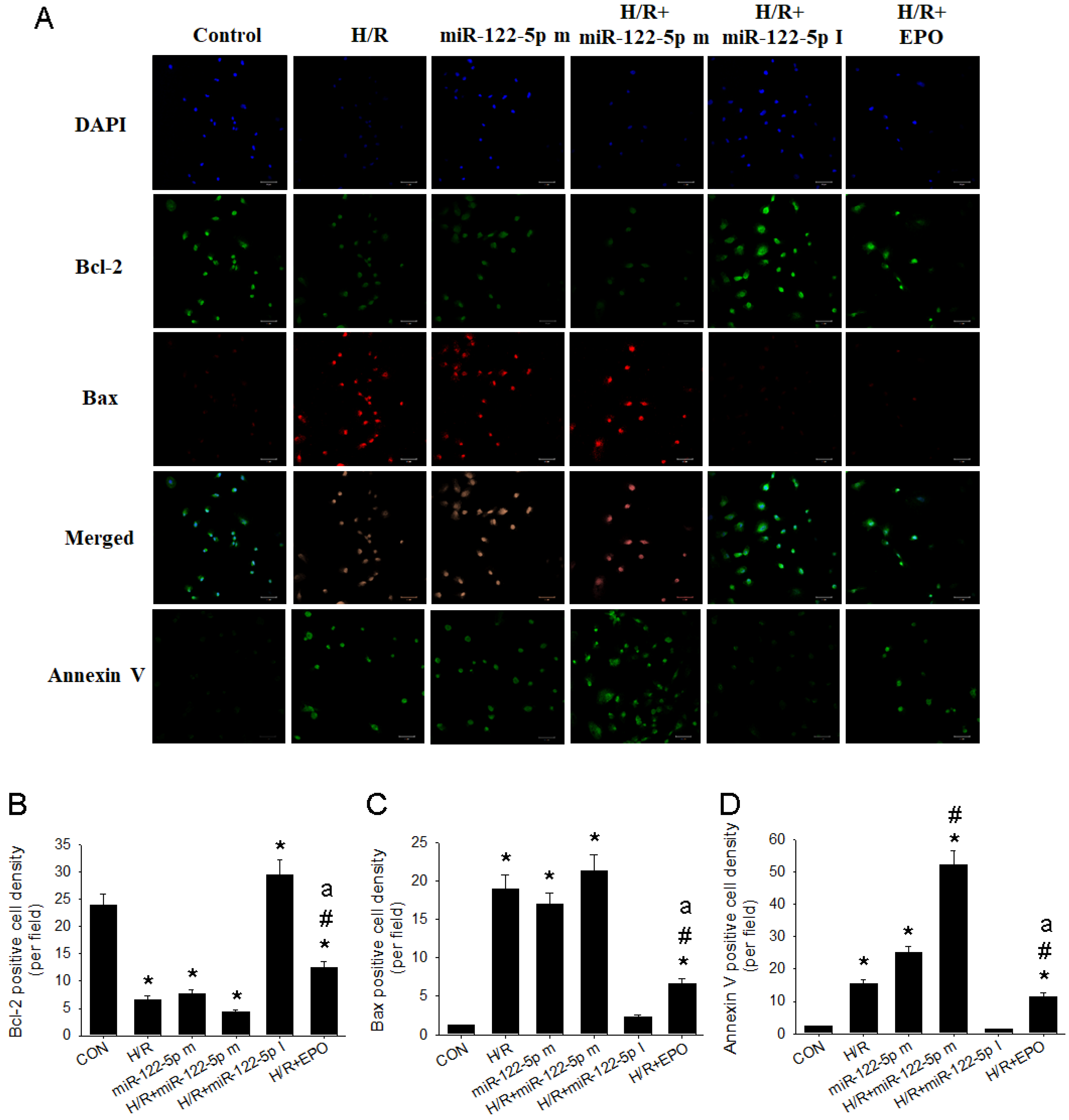Antioxidants 11 01702 g007