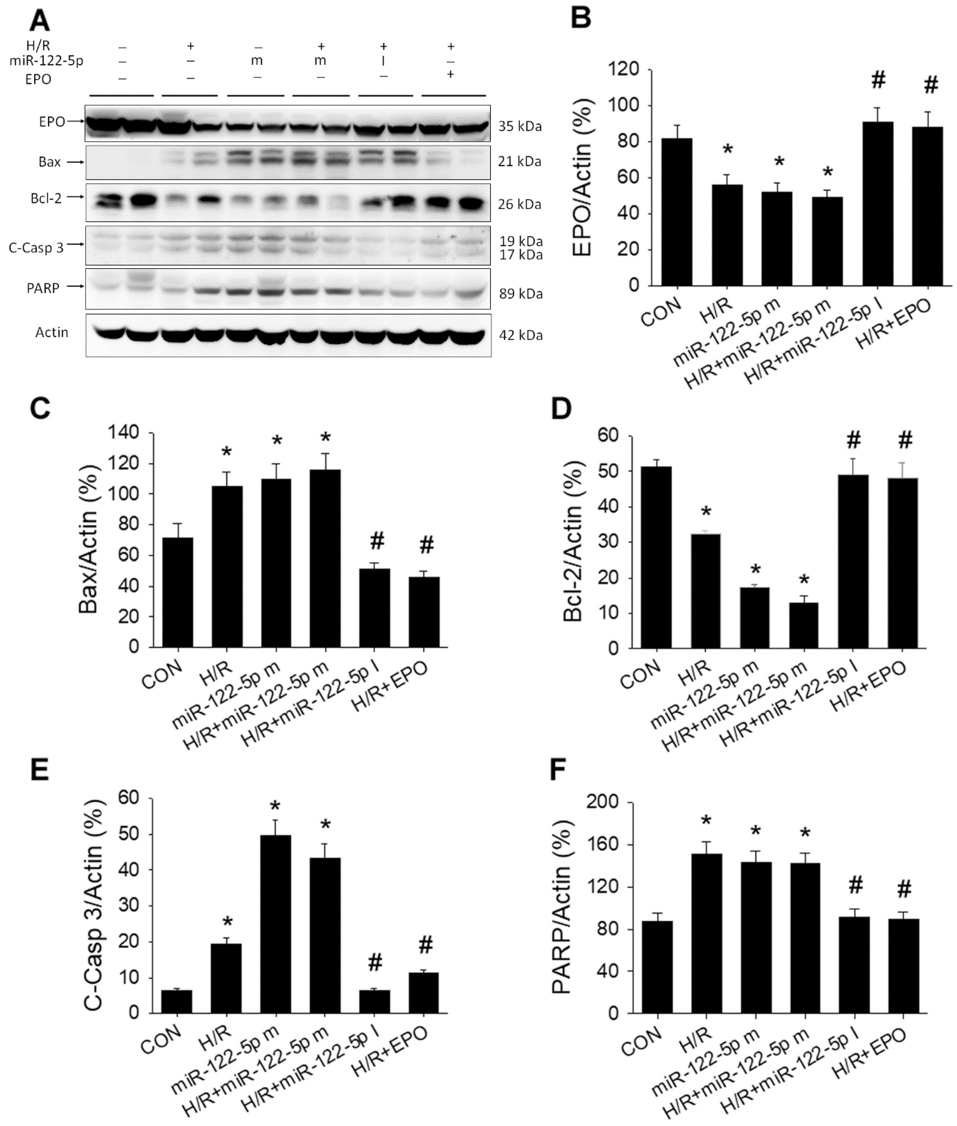 Antioxidants 11 01702 g008