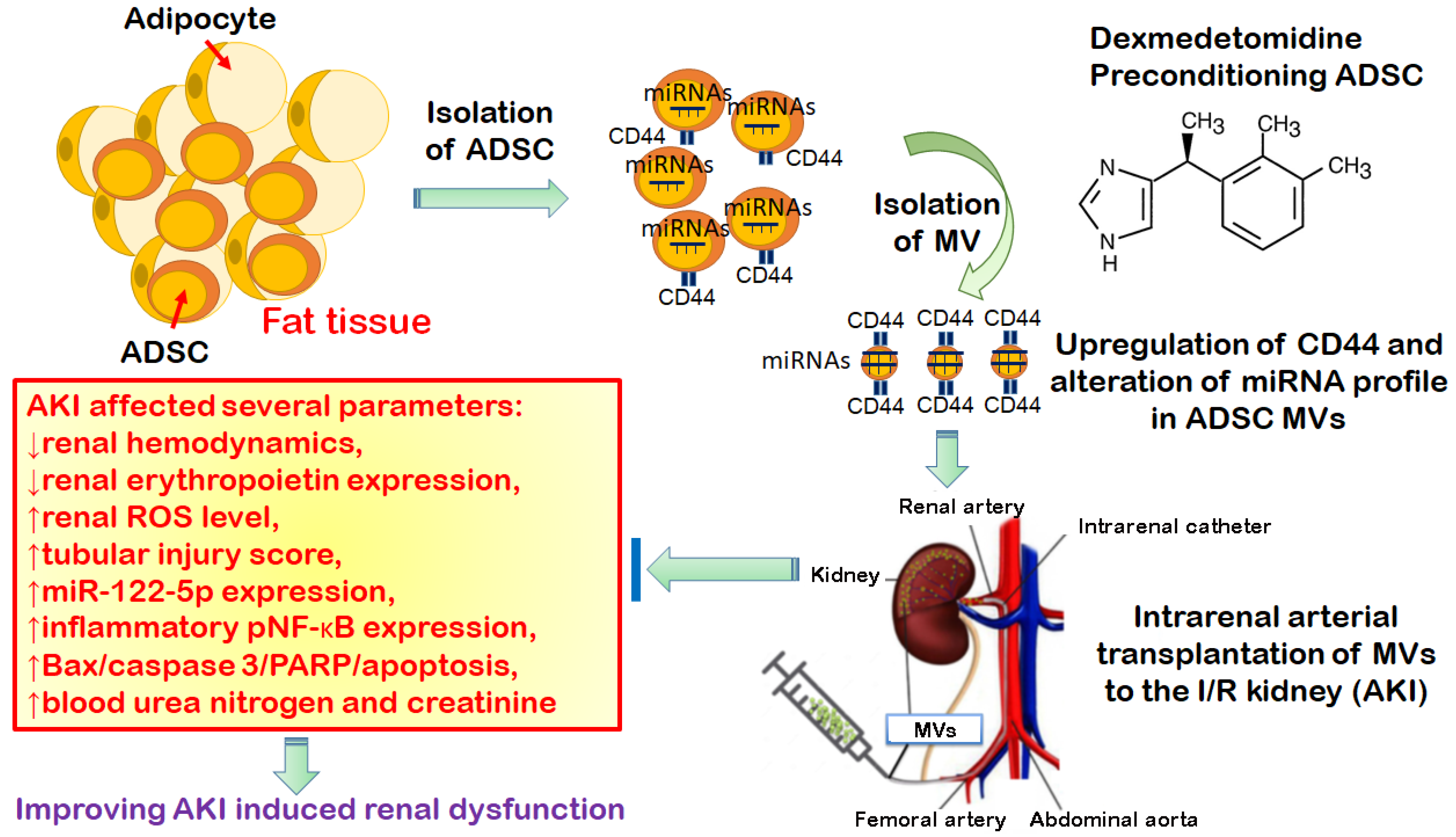 Antioxidants 11 01702 g009