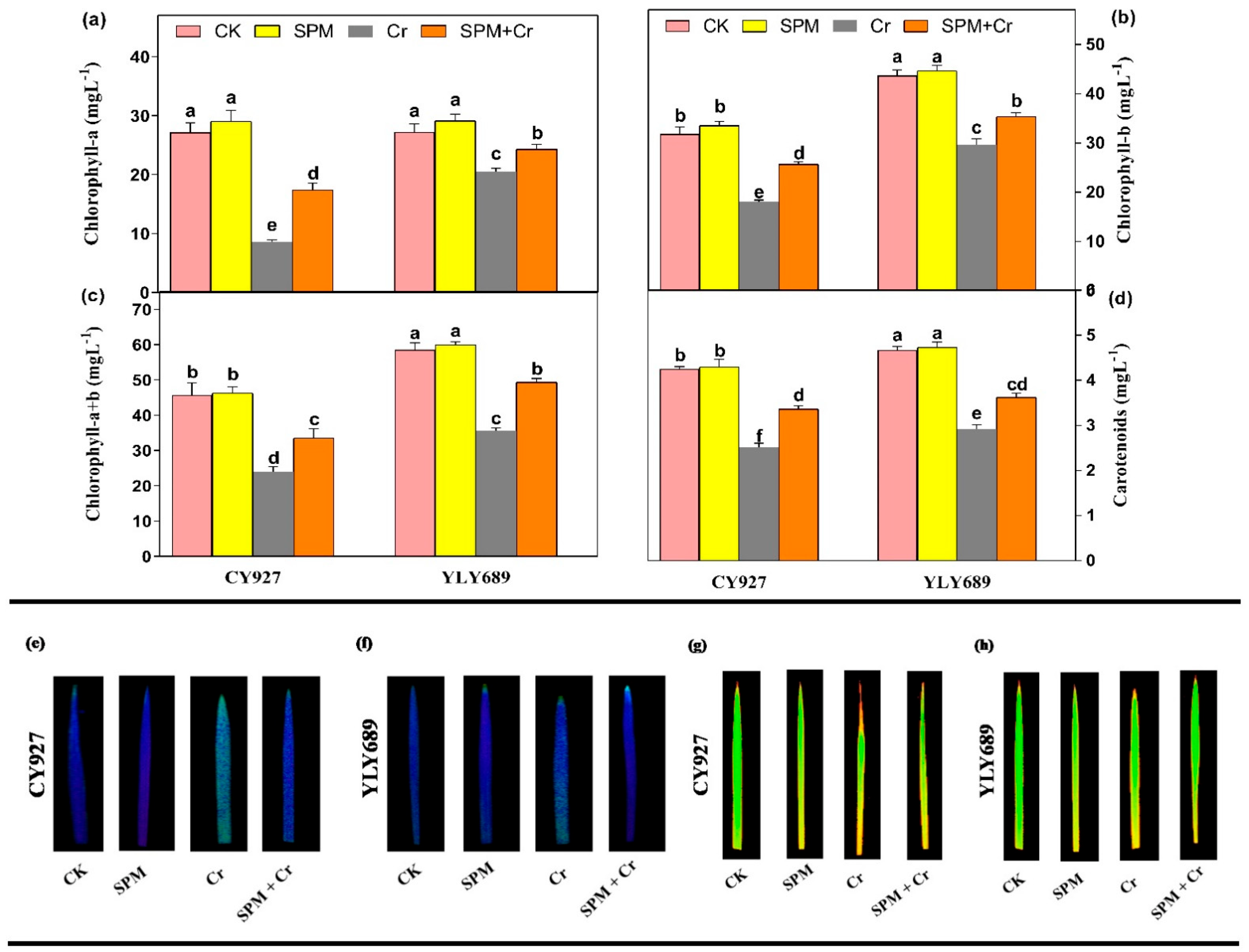 Antioxidants 11 01704 g001