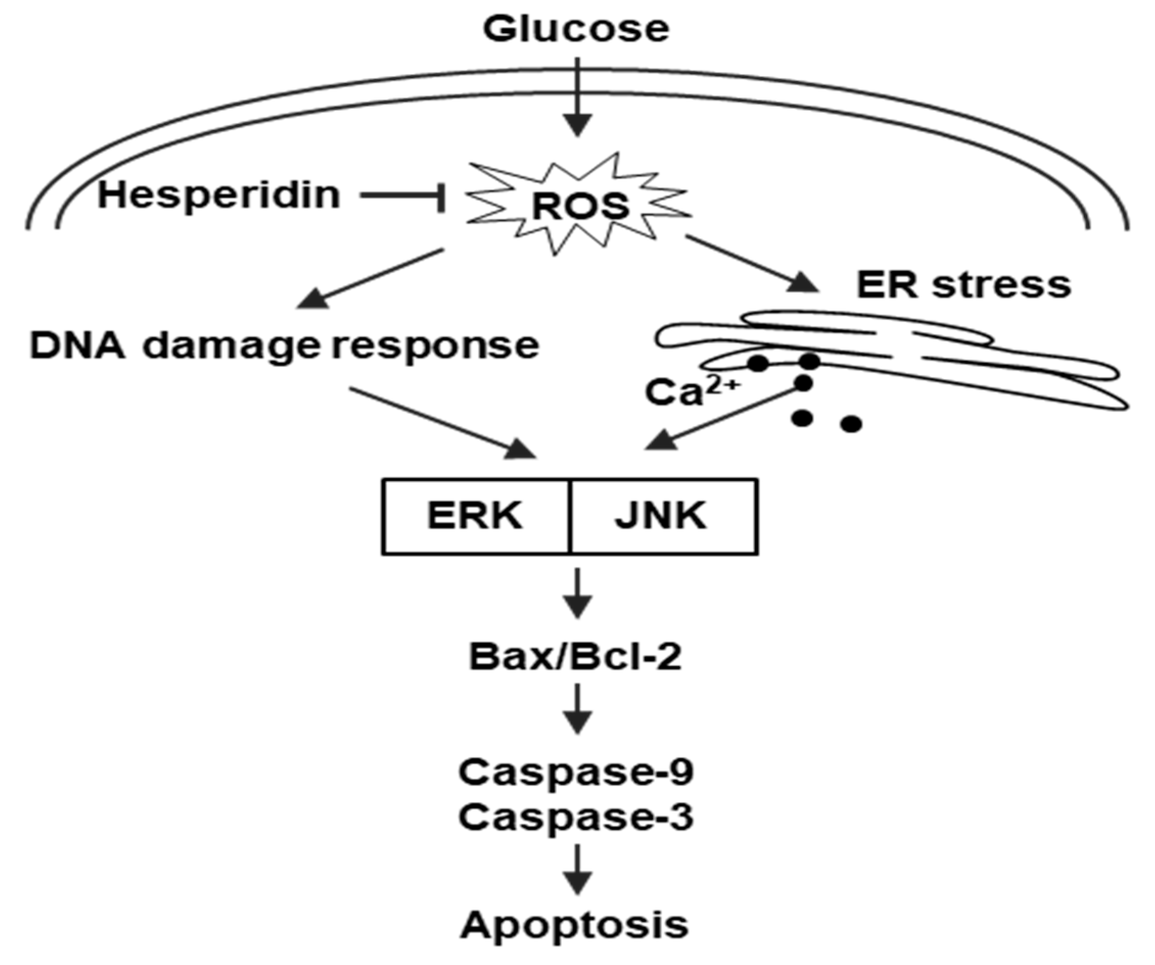 Antioxidants 11 01707 g006 550