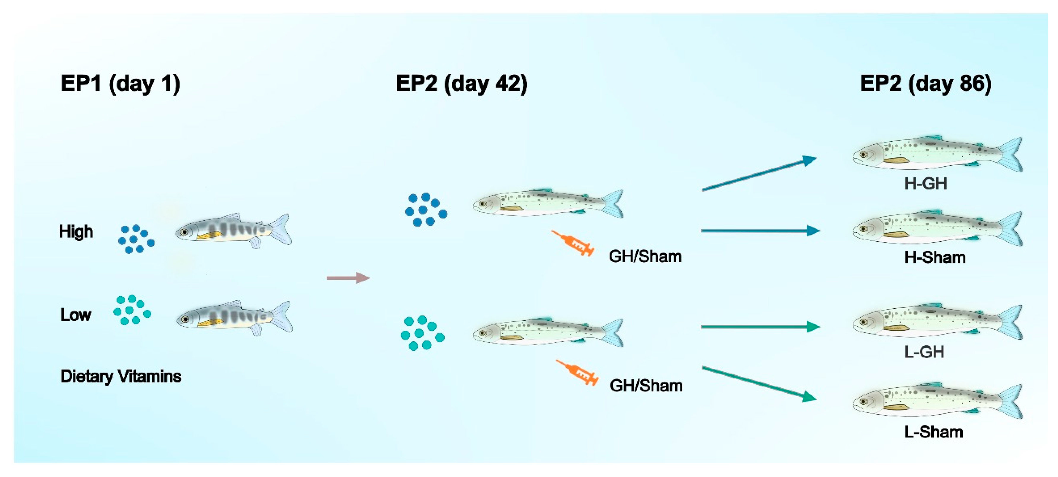 Antioxidants 11 01708 g001 Antioxidants 11 01708 g001