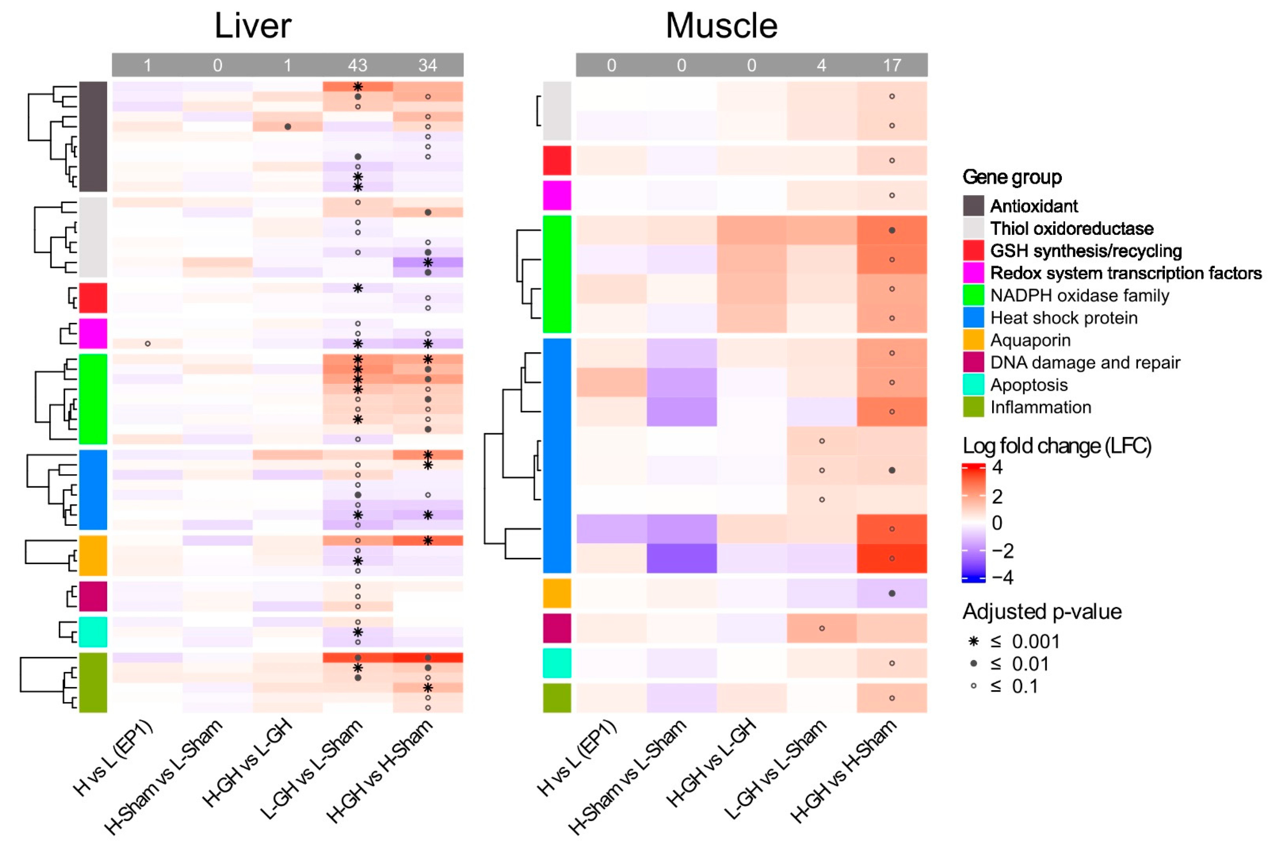 Antioxidants 11 01708 g008 Antioxidants 11 01708 g008