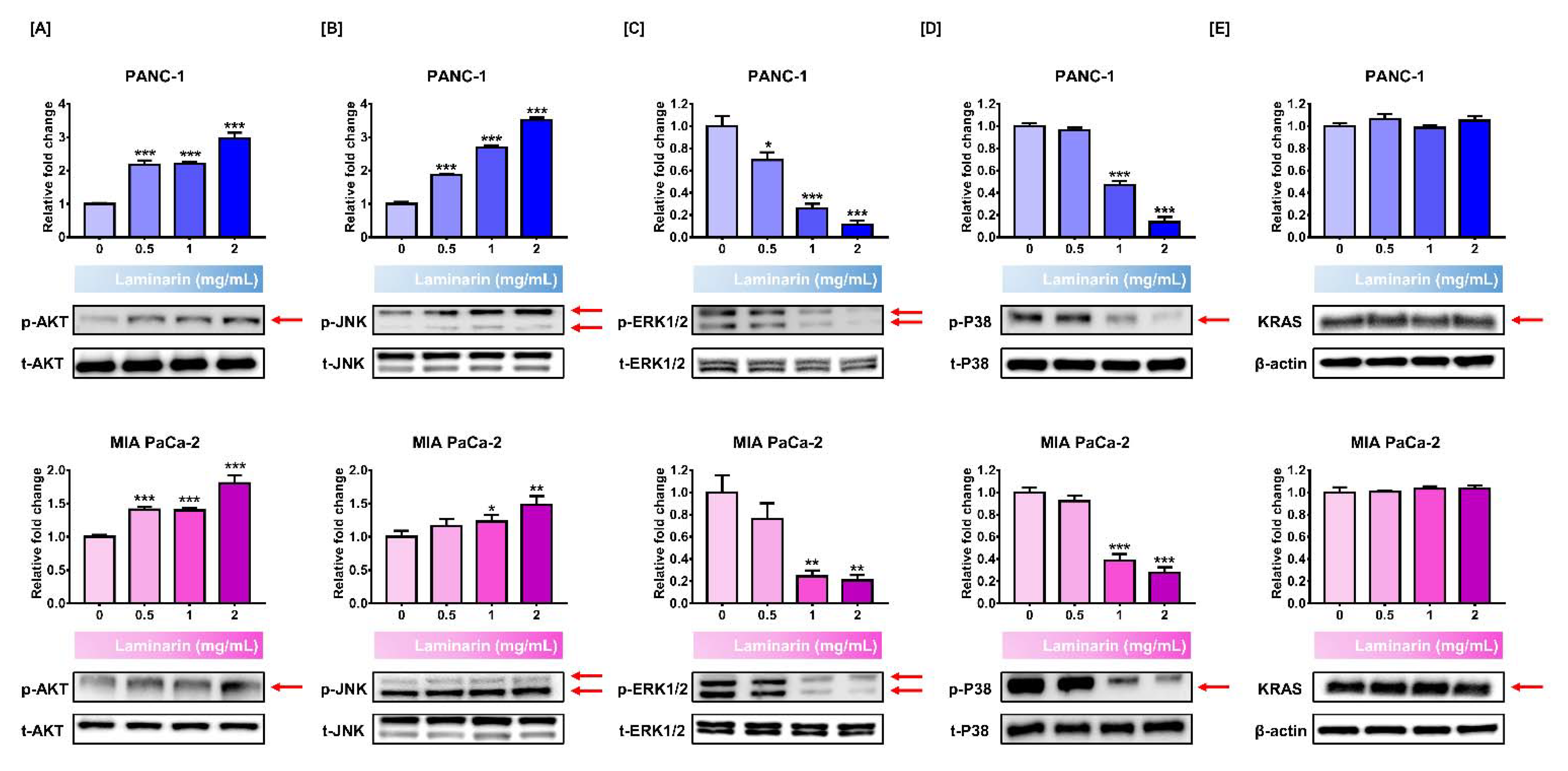 Antioxidants 11 01714 g003 Antioxidants 11 01714 g003