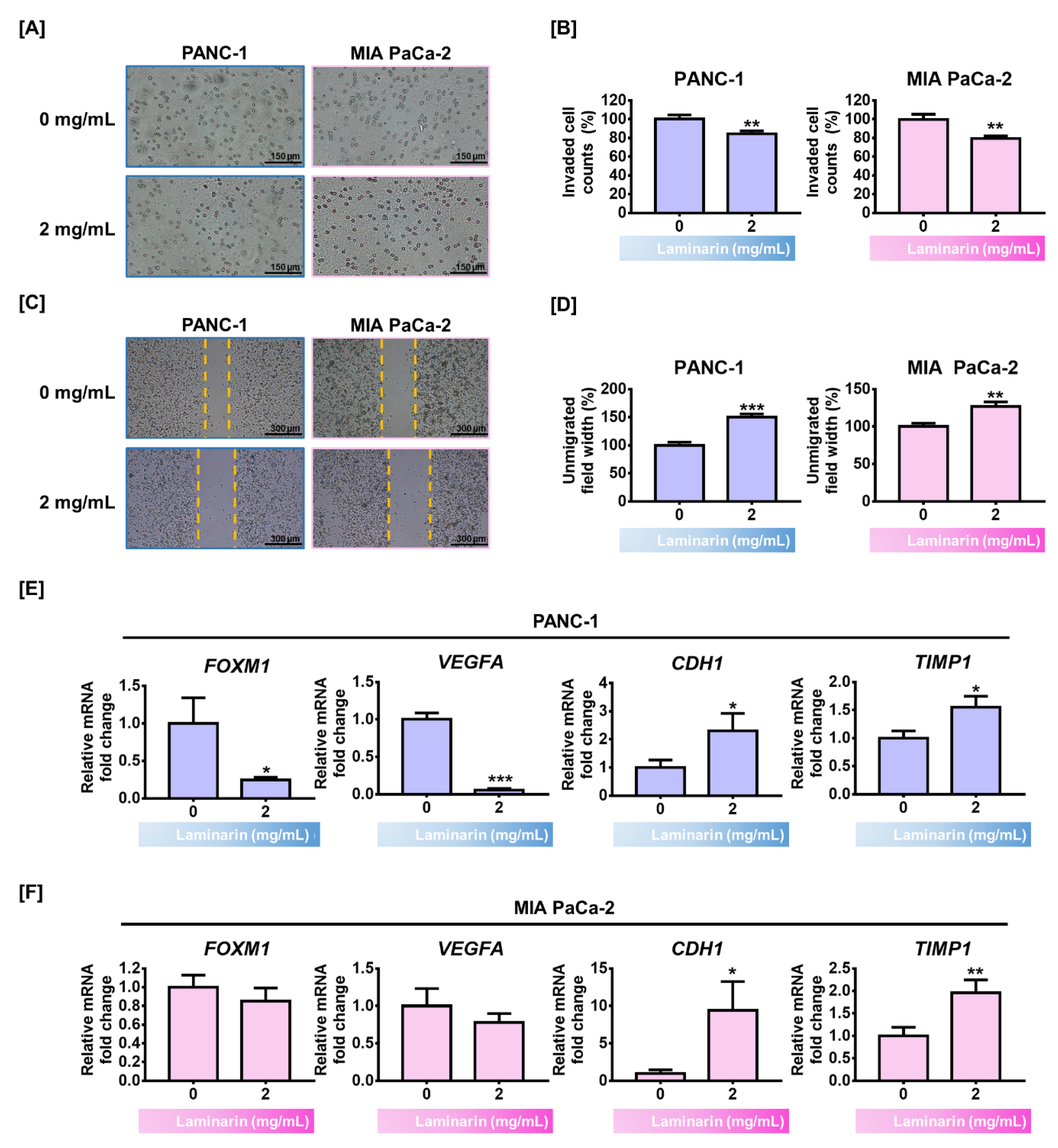 Antioxidants 11 01714 g004 Antioxidants 11 01714 g004