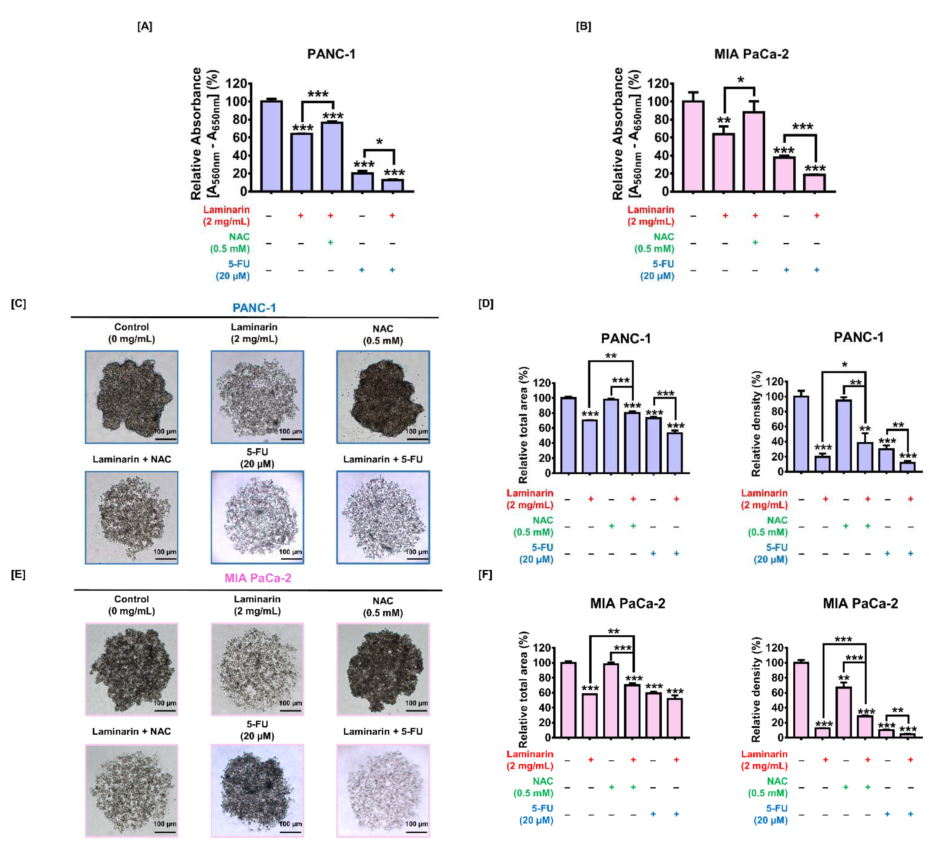Antioxidants 11 01714 g005 Antioxidants 11 01714 g005
