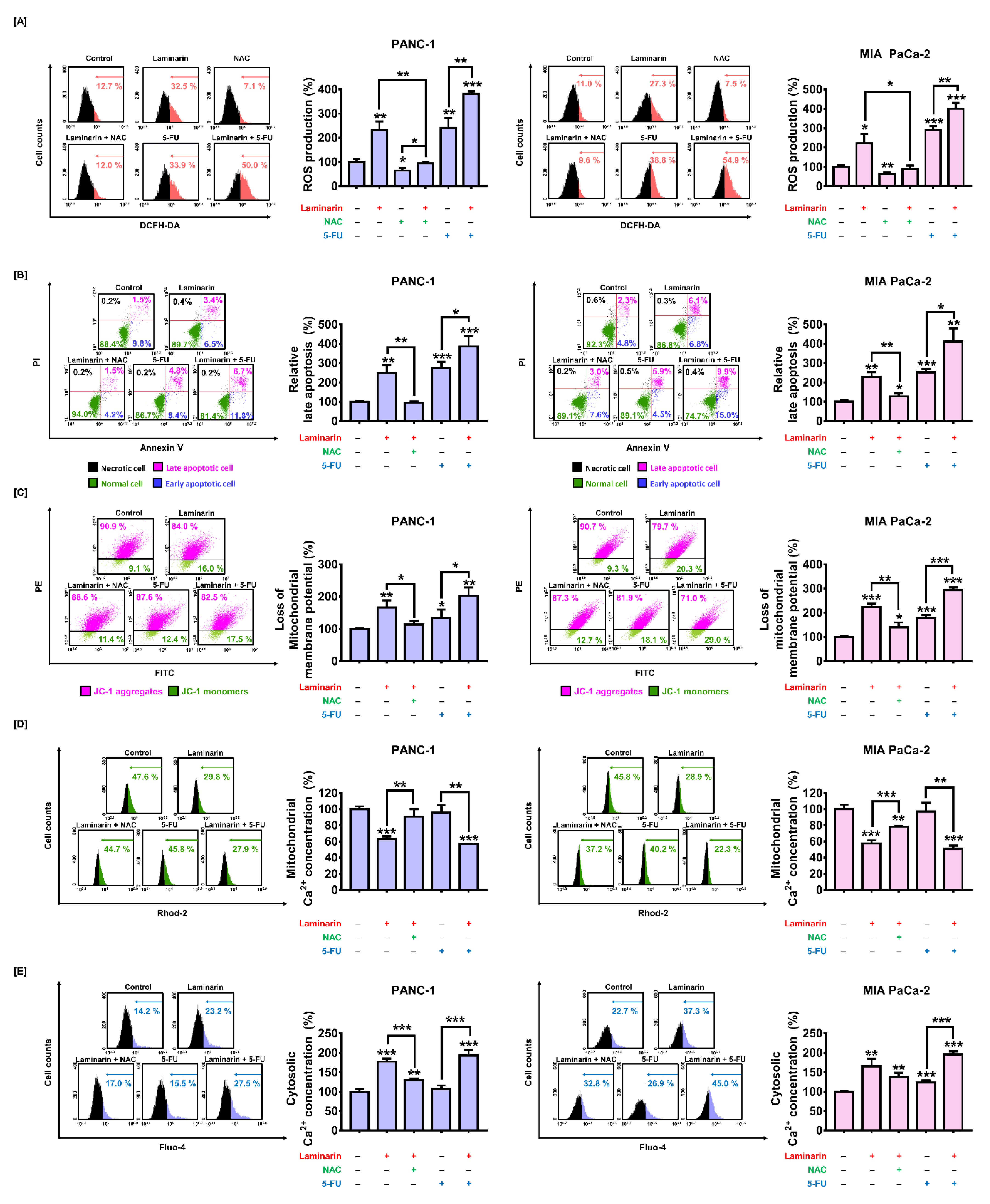 Antioxidants 11 01714 g006 Antioxidants 11 01714 g006