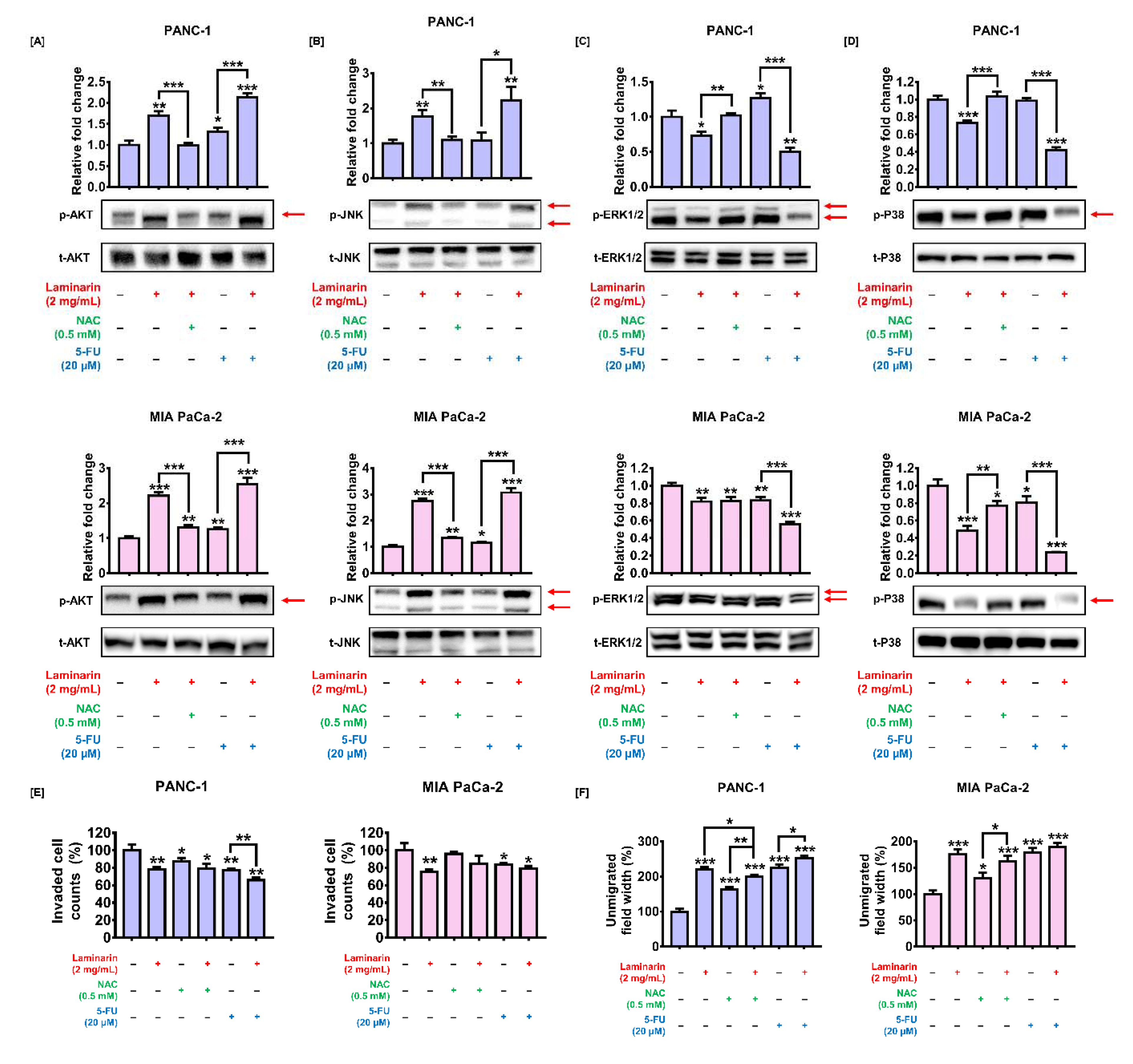Antioxidants 11 01714 g007 Antioxidants 11 01714 g007