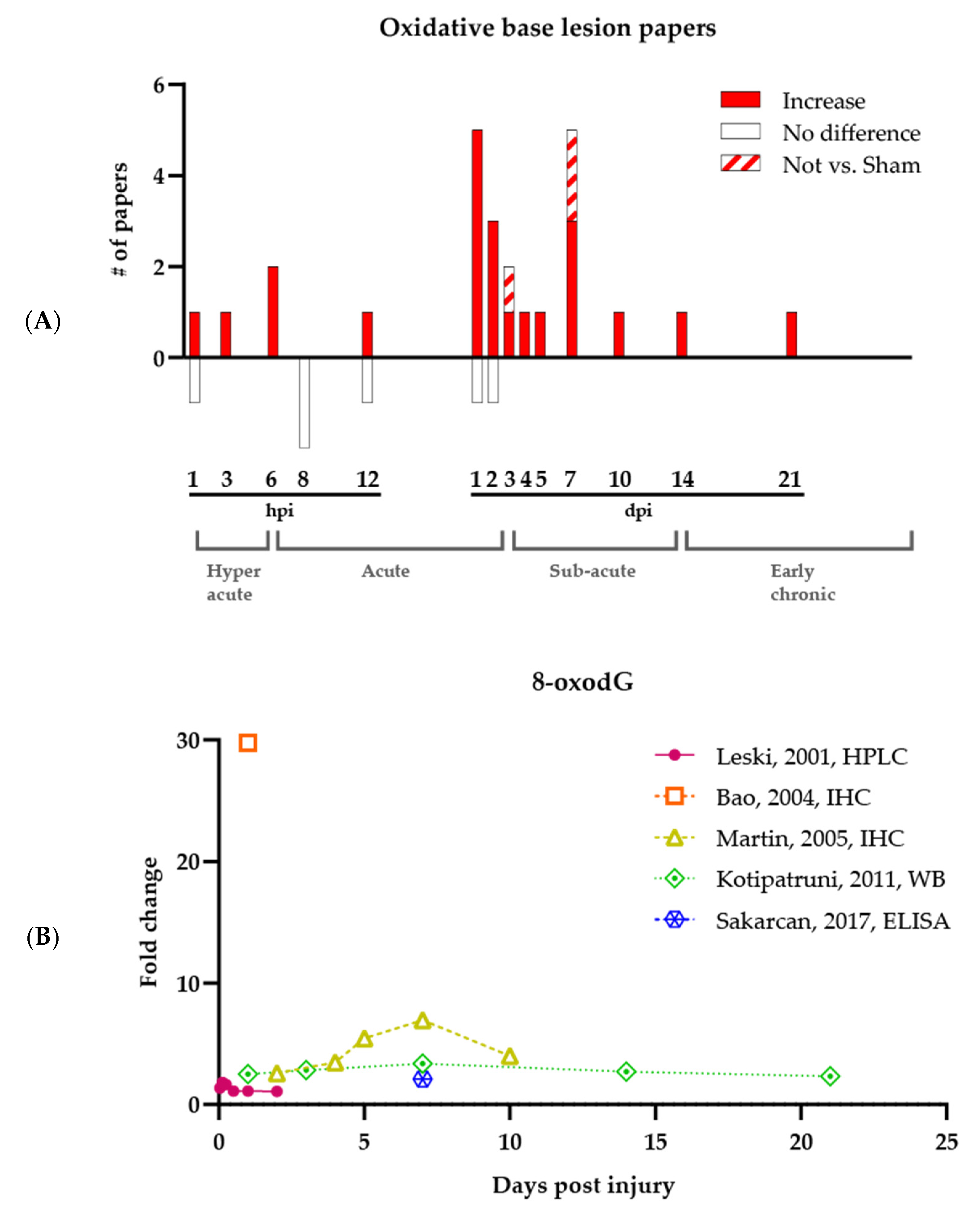 Oxidative DNA Damage in the Pathophysiology of Spinal Cord