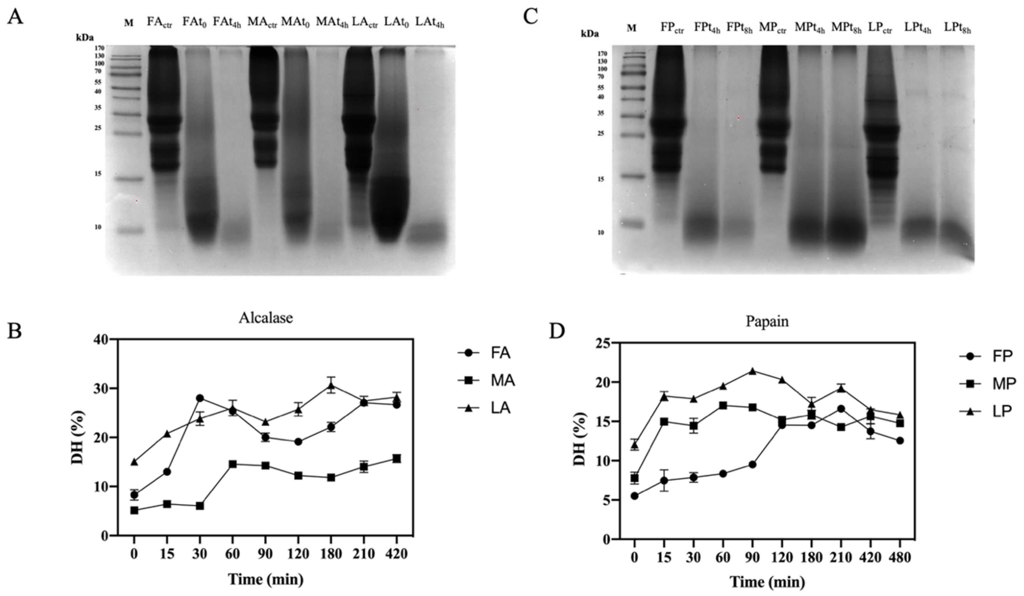 Antioxidants 11 01730 g004