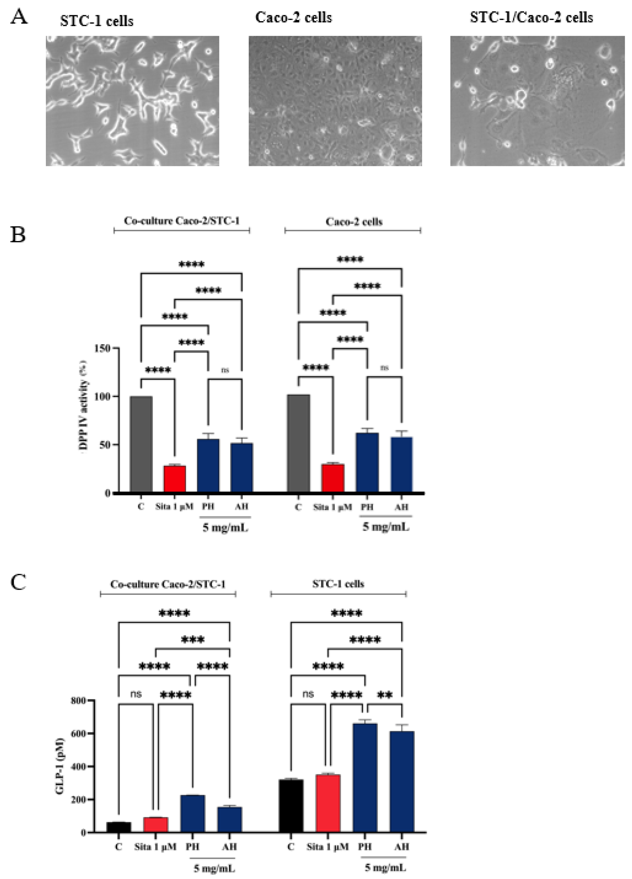 Antioxidants 11 01730 g013