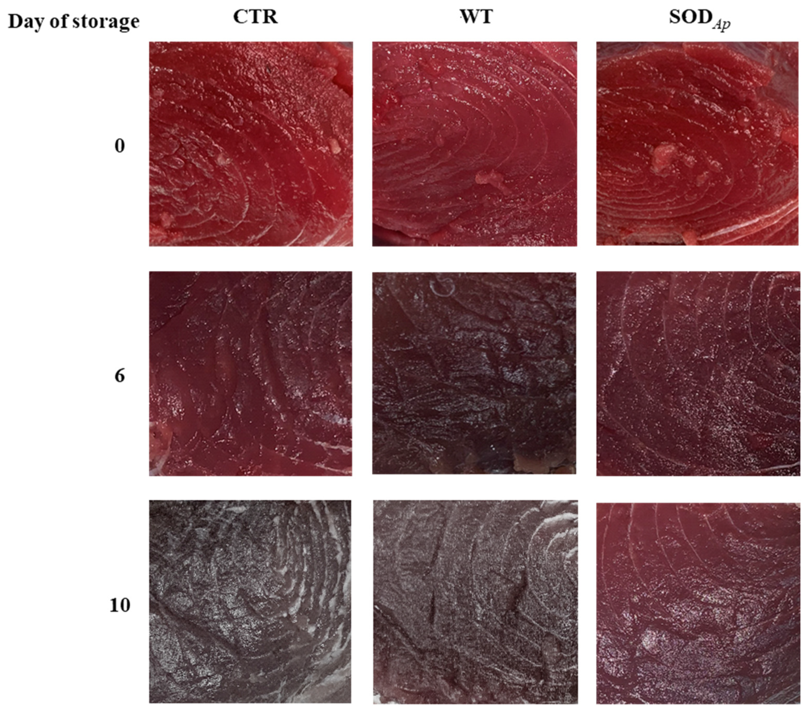 Antioxidants 11 01731 g007