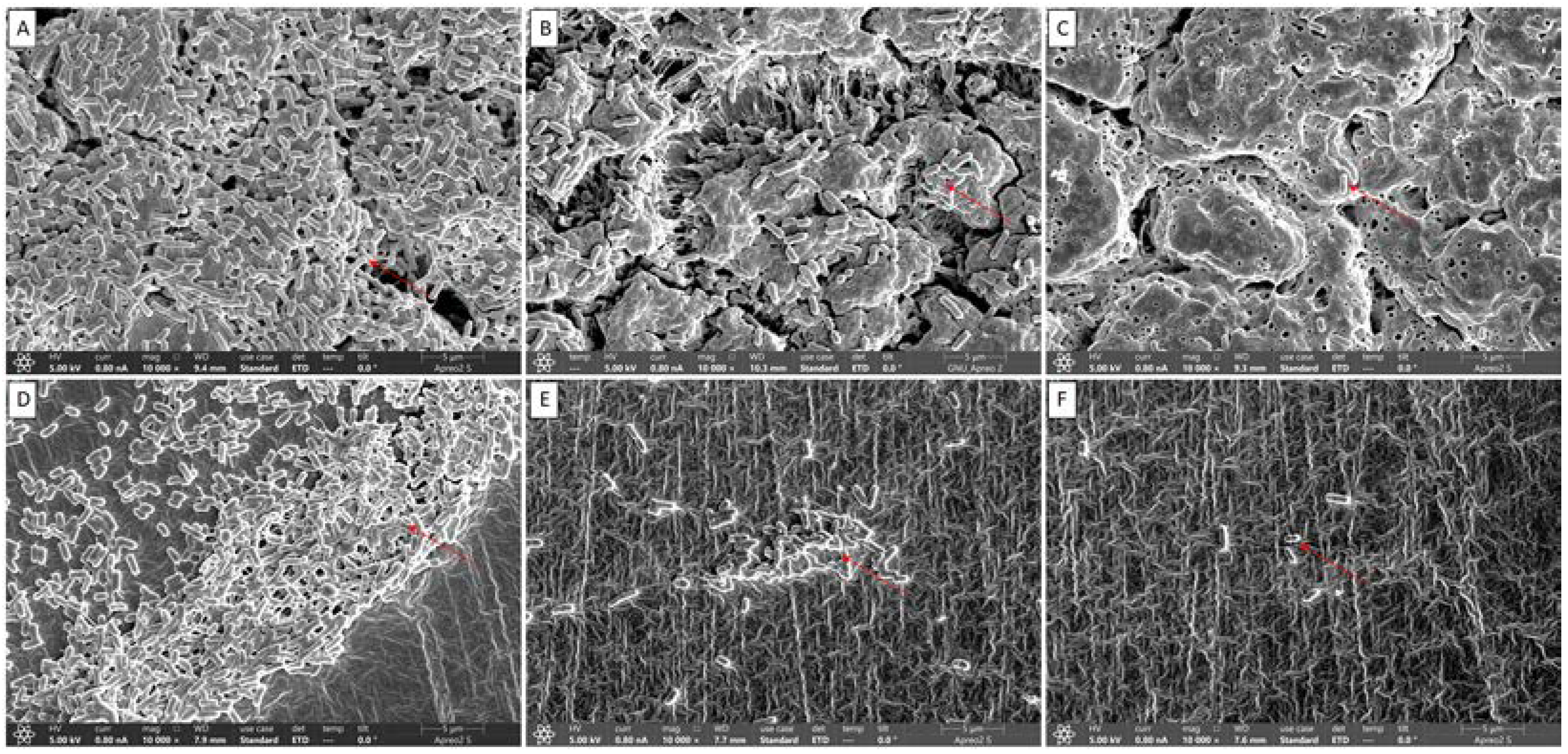 Antioxidants 11 01733 g006 550