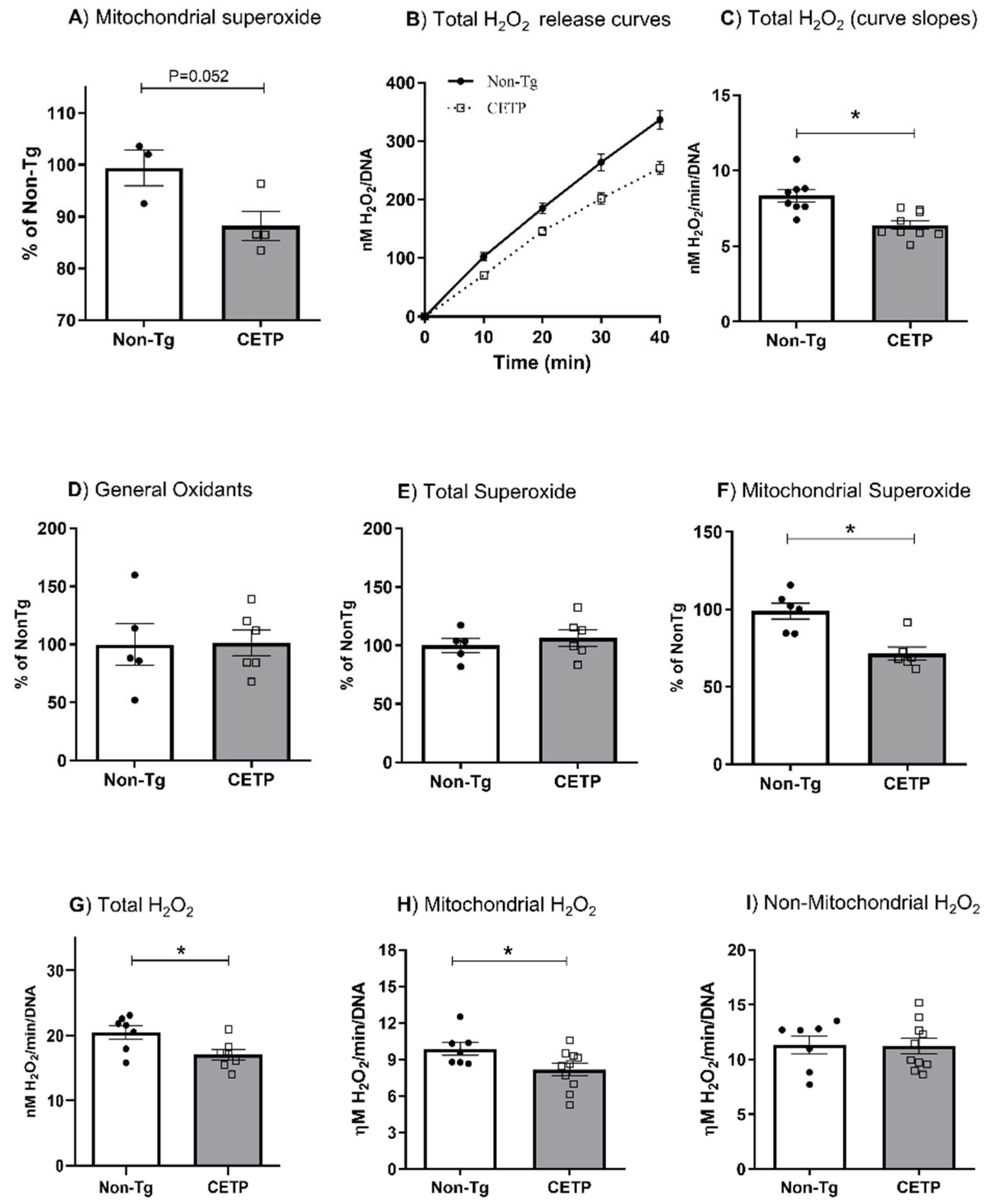 Antioxidants 11 01734 g001 Antioxidants 11 01734 g001