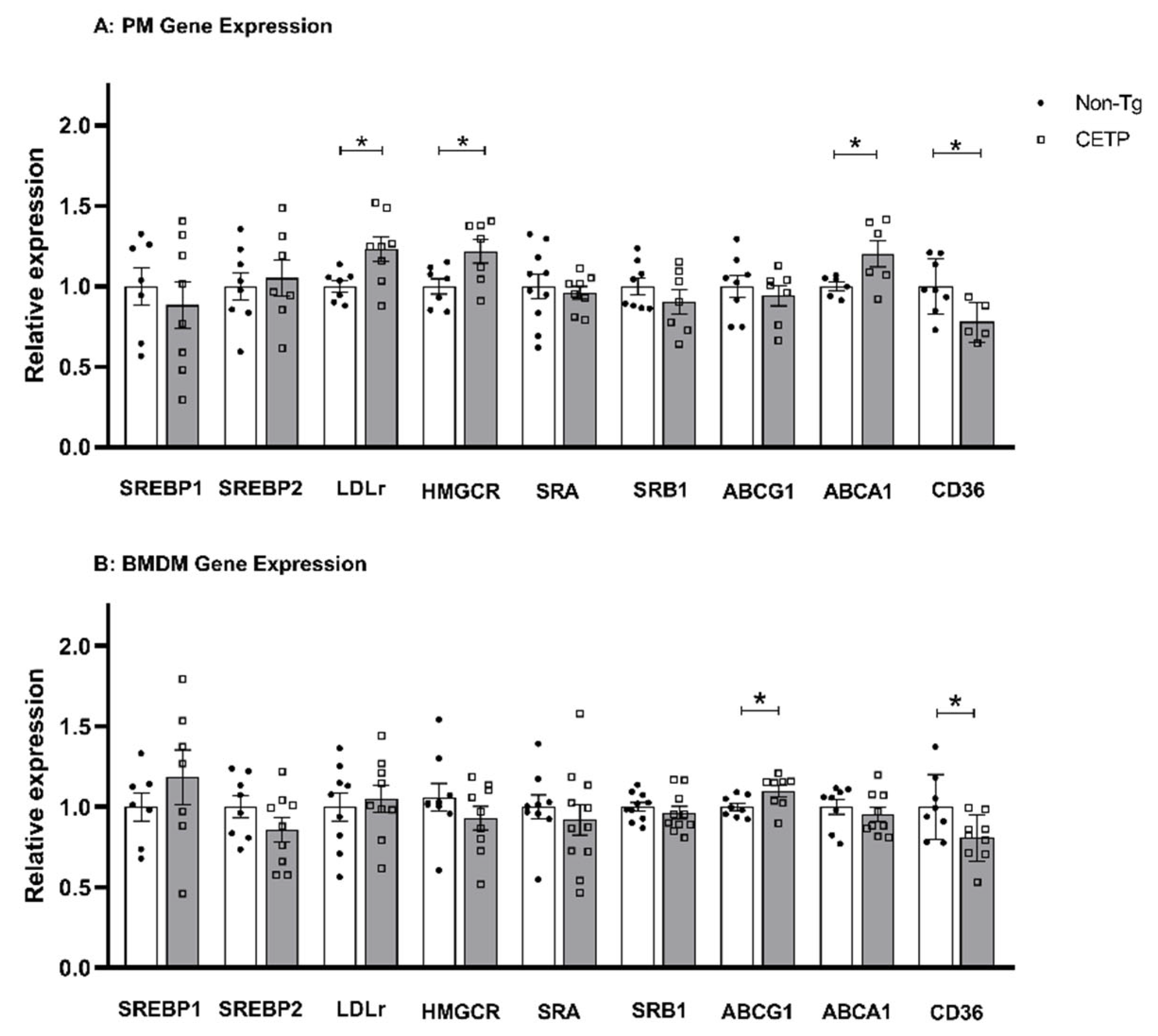 Antioxidants 11 01734 g006 Antioxidants 11 01734 g006