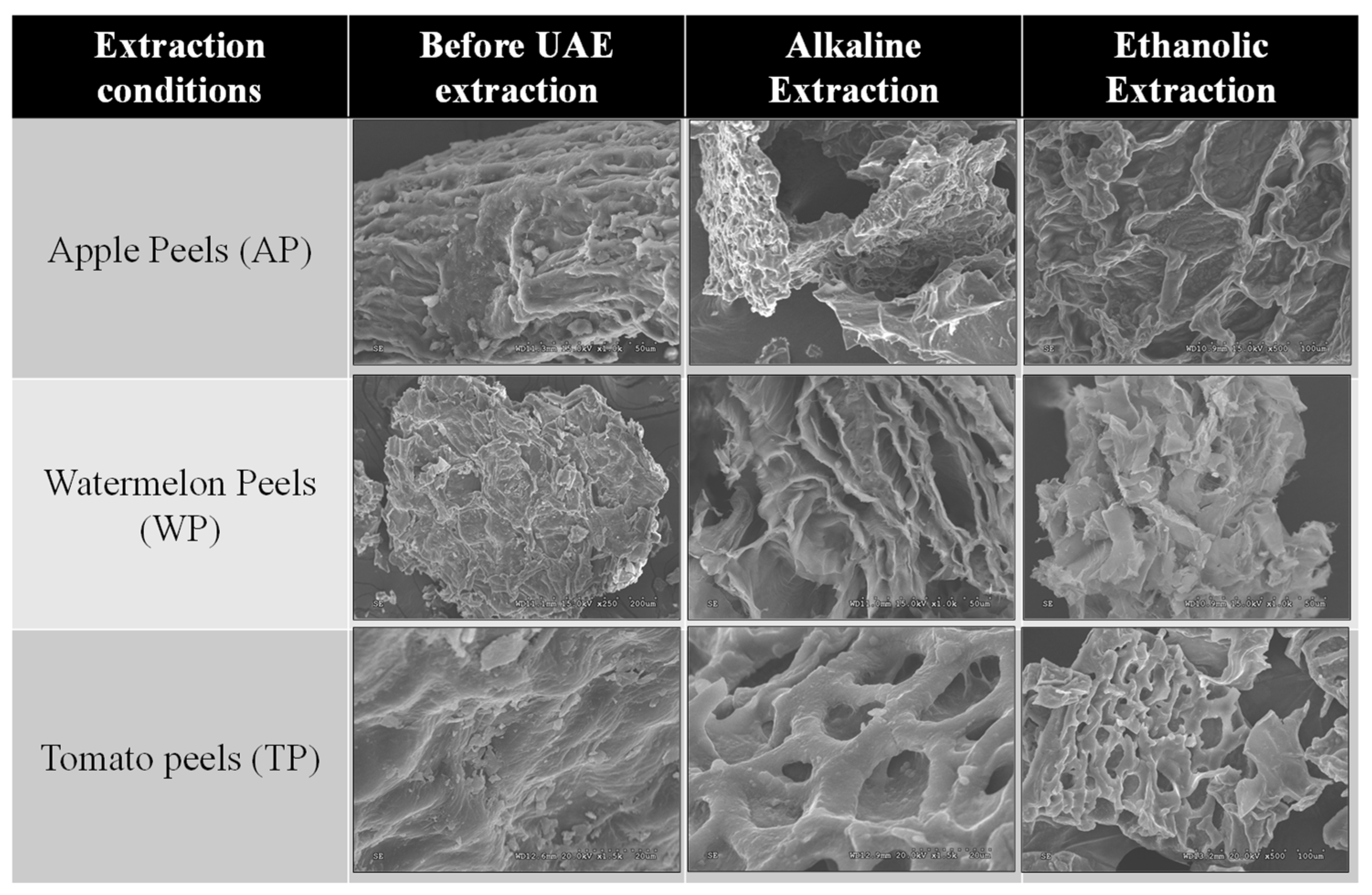 Antioxidants 11 01739 g003