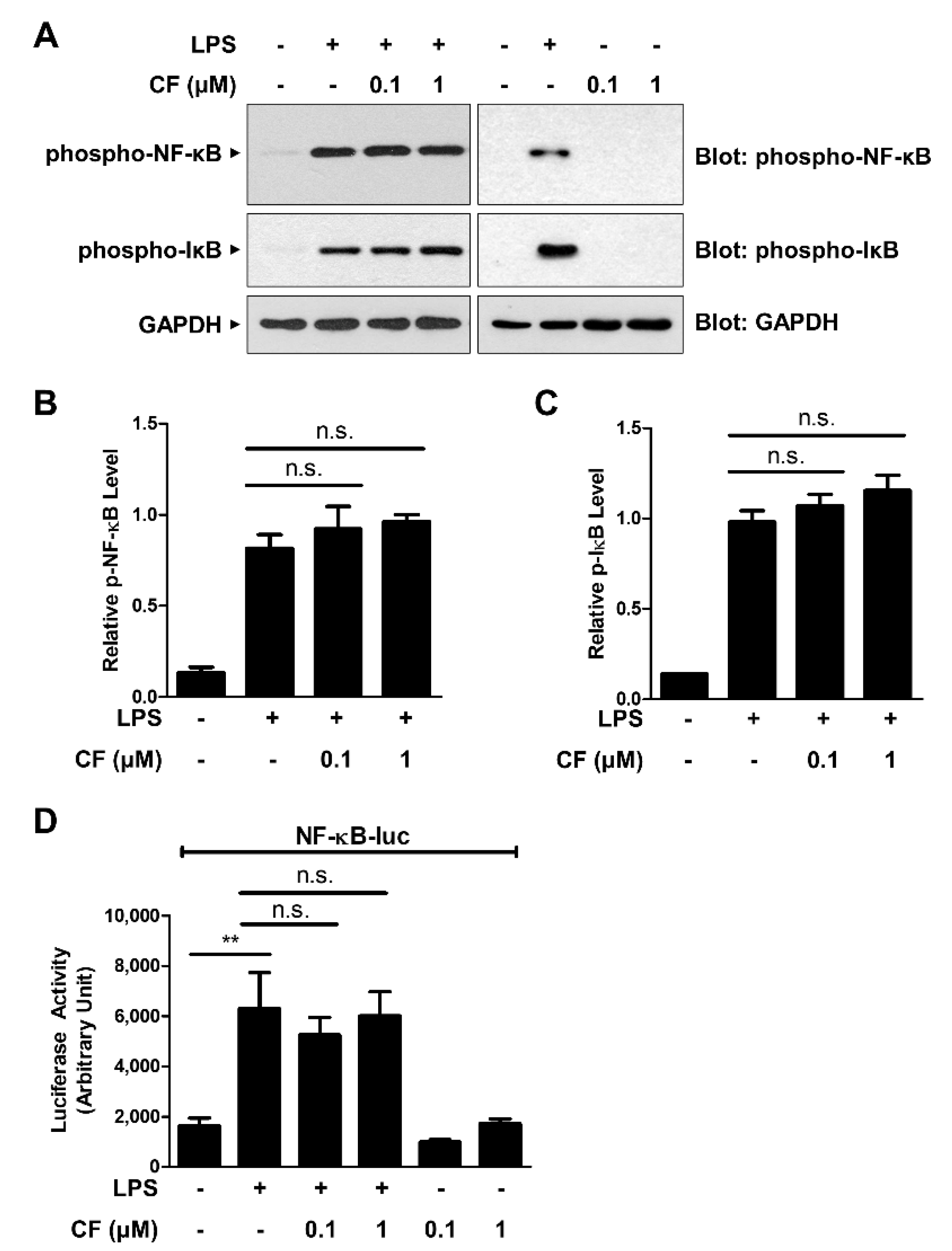 Antioxidants 11 01740 g002